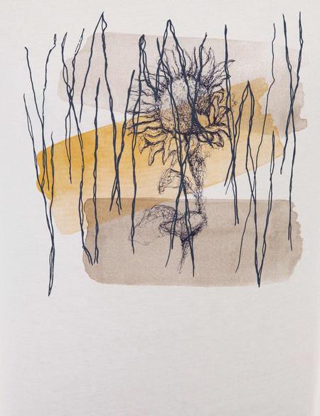 Beyaz Slim Fit Bisiklet Yaka T-Shirt - 50220085002