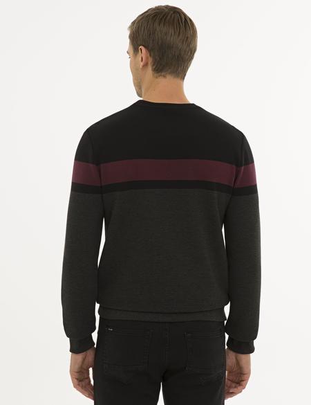 Siyah Standart Fit Sweatshirt - 50227571004