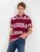 Bordo Slim Fit Polo Yaka T-Shirt