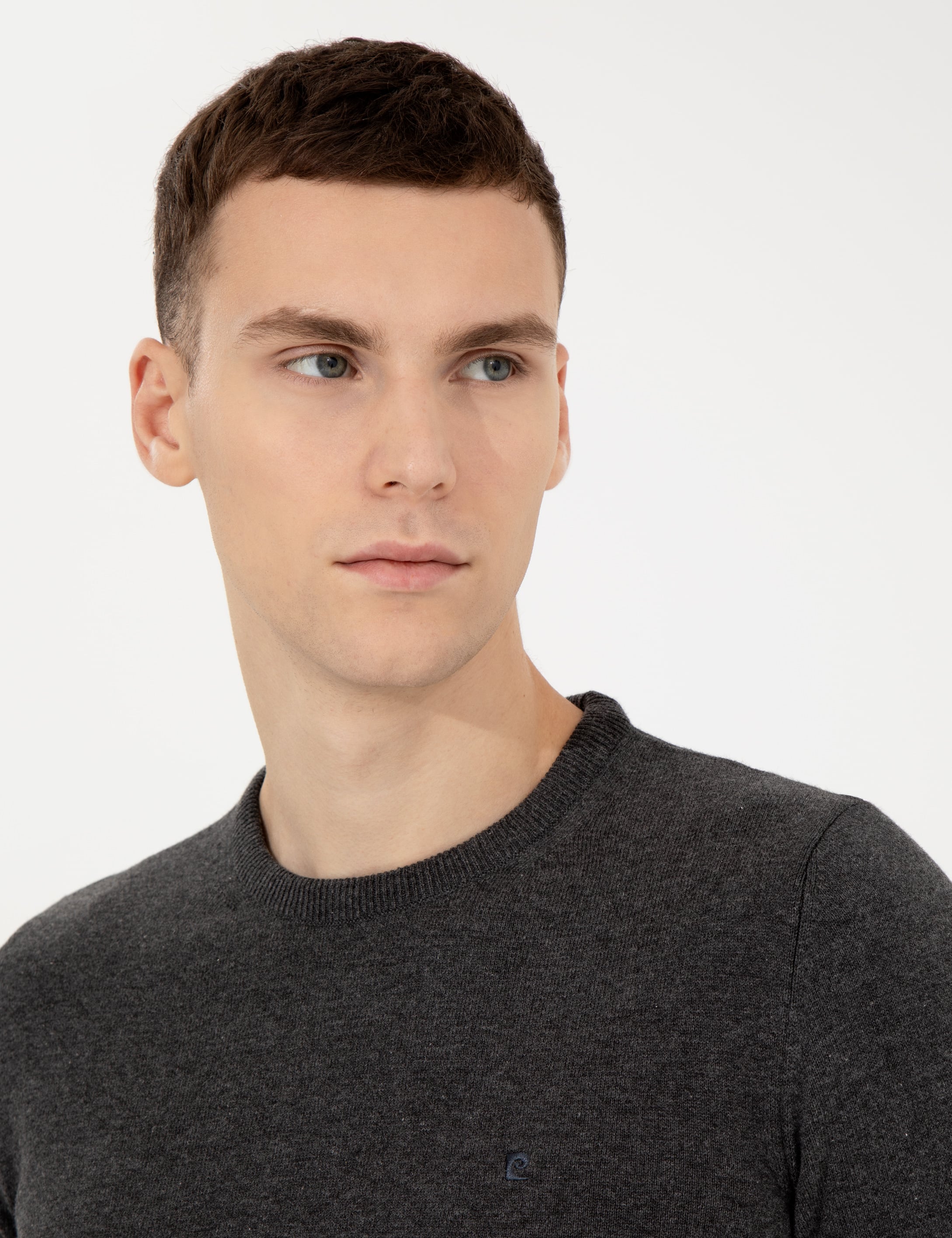 Pierre Cardin Gri Melanj Slim Fit Bisiklet Yaka Basic Triko Kazak görsel 2