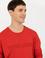 Kırmızı Sweatshirt