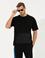 Siyah Regular Fit Bisiklet Yaka Tişört