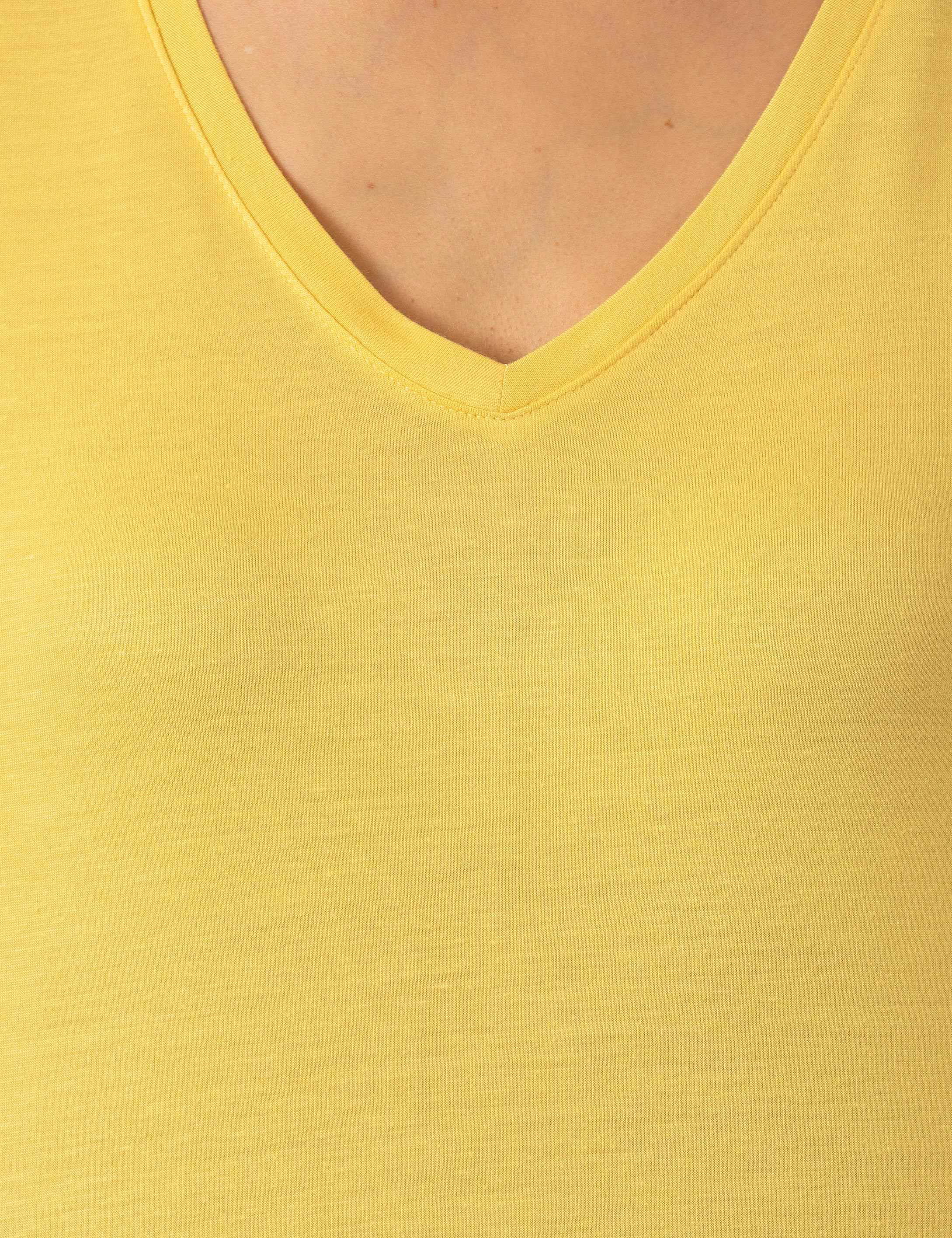 Pierre Cardin Neon Sarı Regular Fit Tişört görsel 6