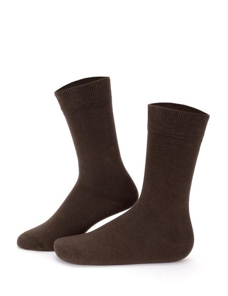 Erkek Kahverengi Çorap - 50263626006