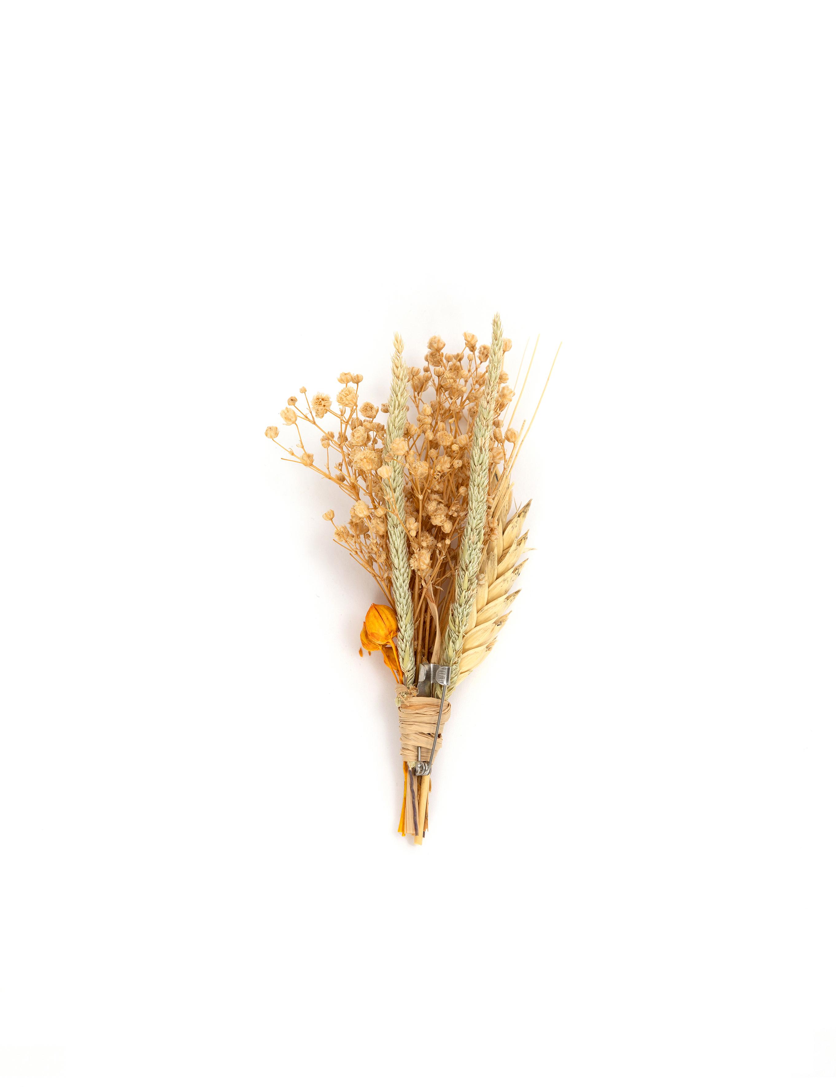 Turuncu Yaka Çiçeği