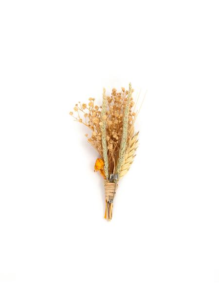 Turuncu Yaka Çiçeği - 50275931003