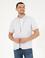 Tarçın Regular Fit Kısa Kollu Gömlek