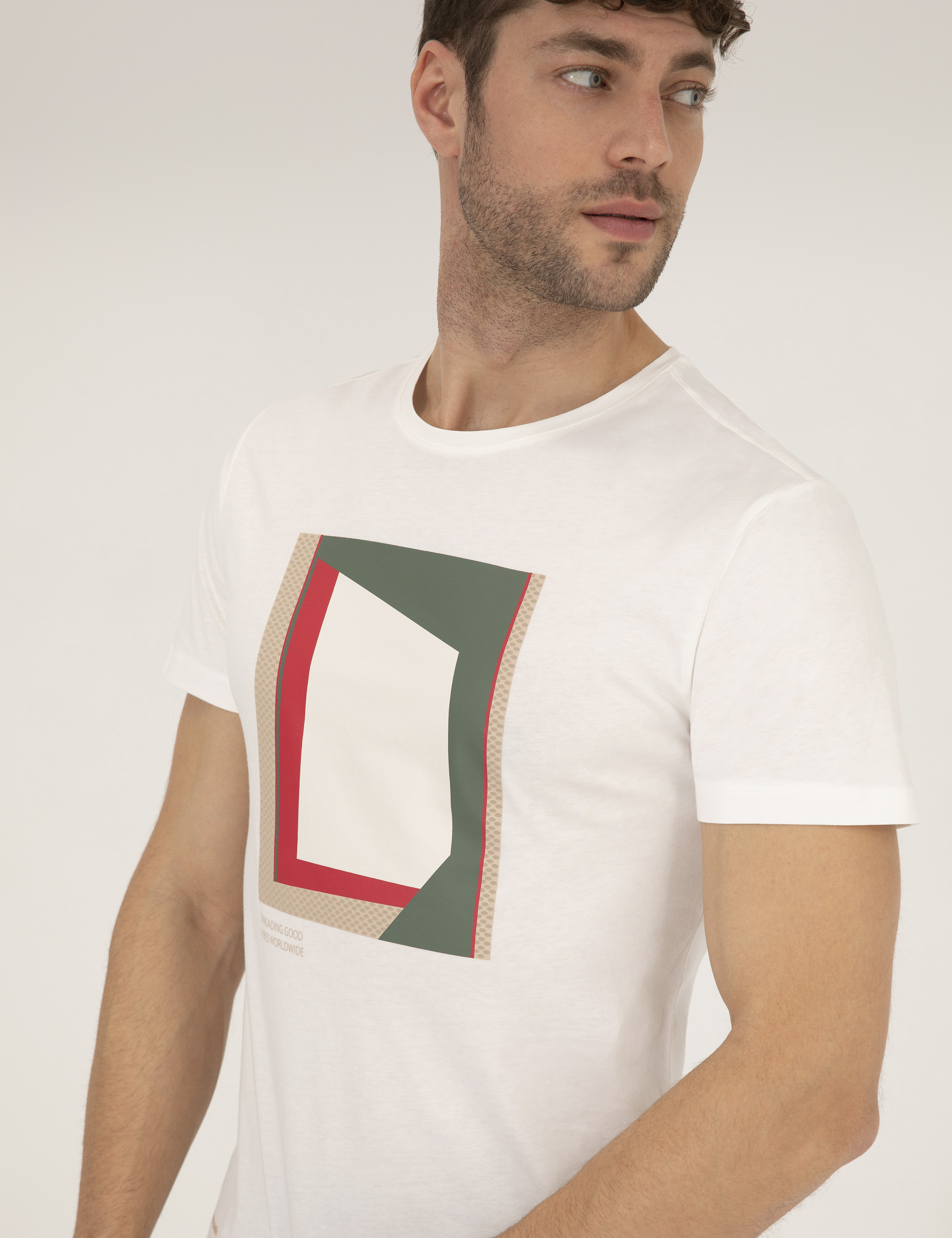 Pierre Cardin Ekru Slim Fit Baskılı Bisiklet Yaka Tişört görsel 3