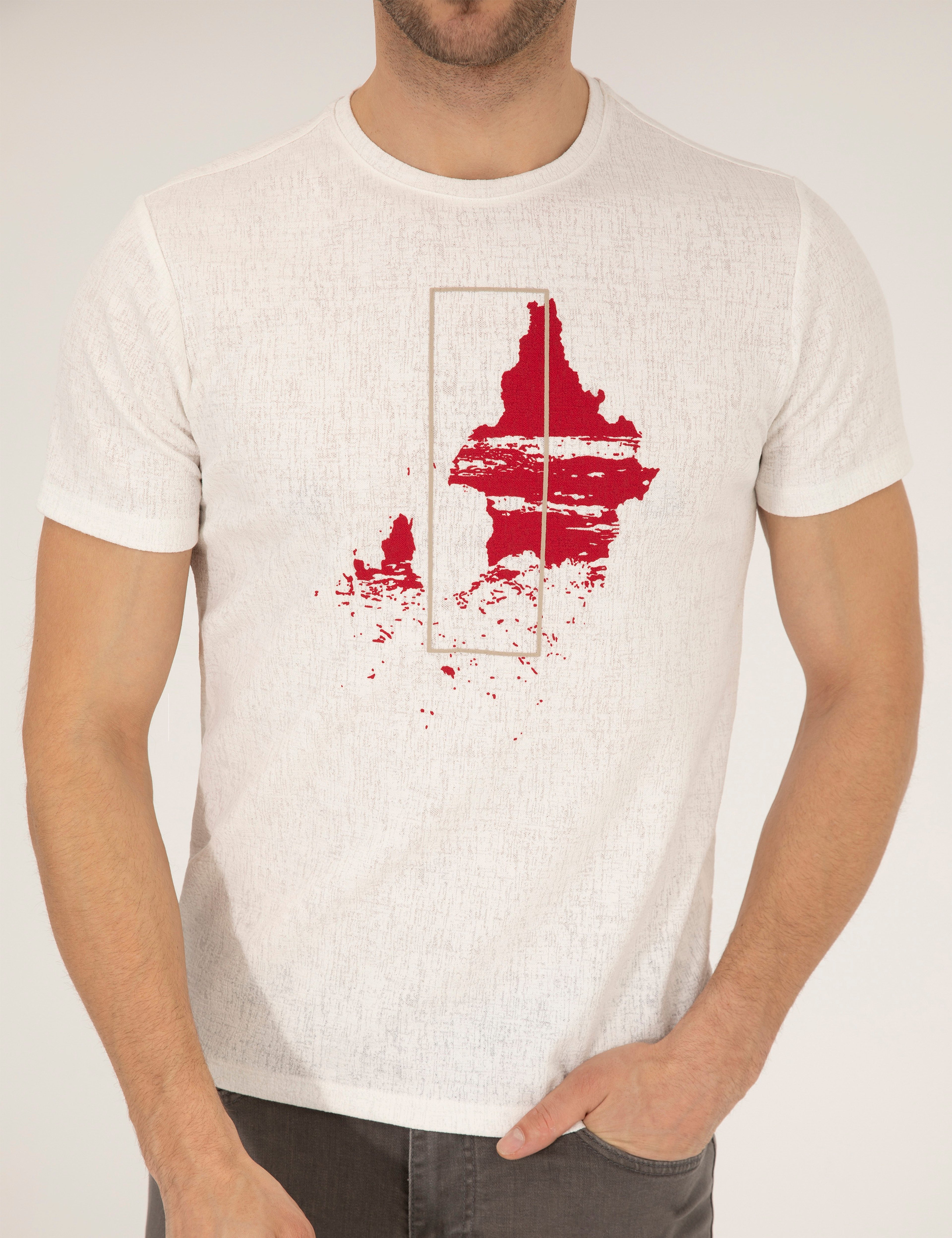 Ekru Slim Fit Baskılı Bisiklet Yaka Tişört - Image 6