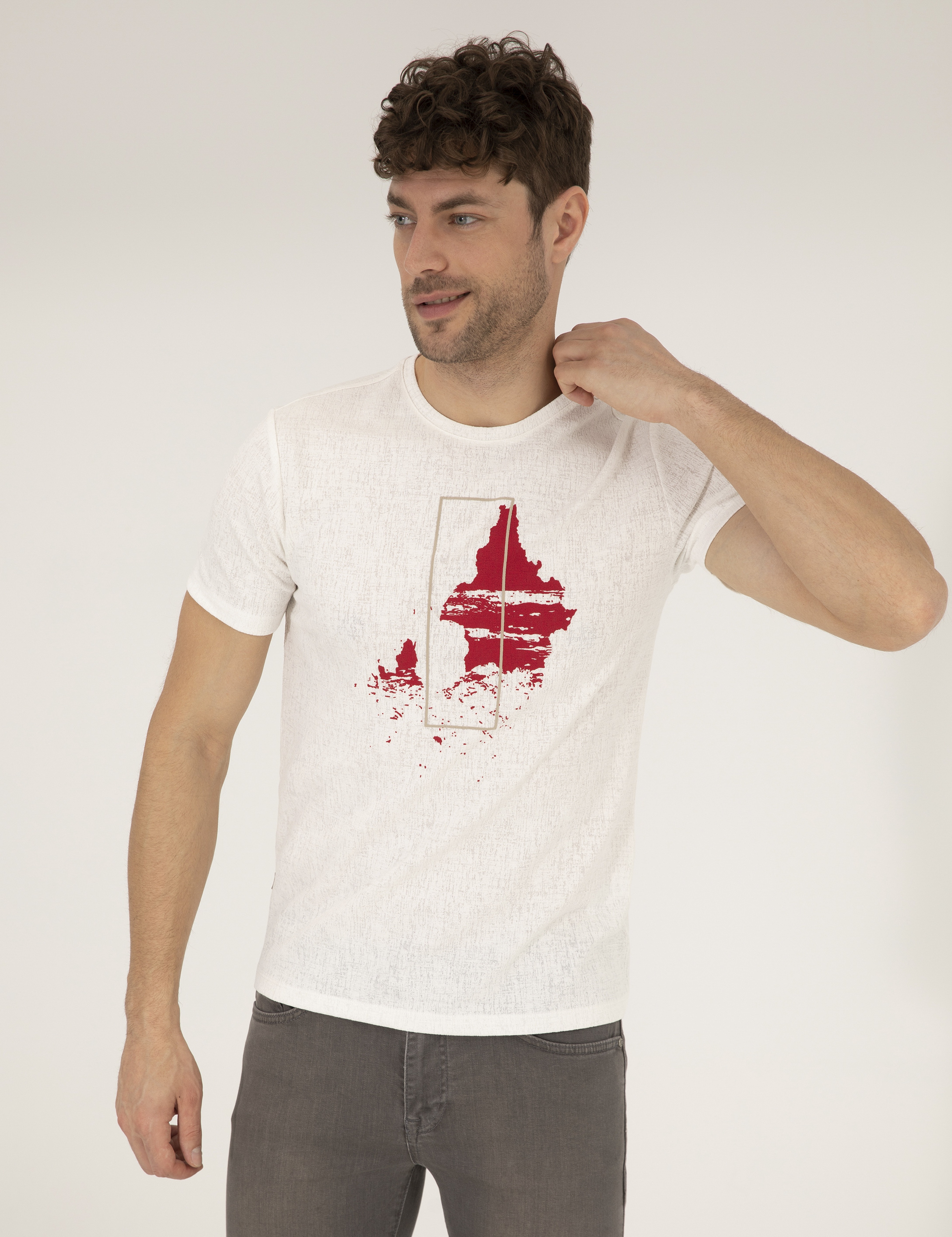 Ekru Slim Fit Baskılı Bisiklet Yaka Tişört - Image 1