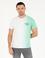 Açık Yeşil Slim Fit Degrade Geçişli Bisiklet Yaka Tişört