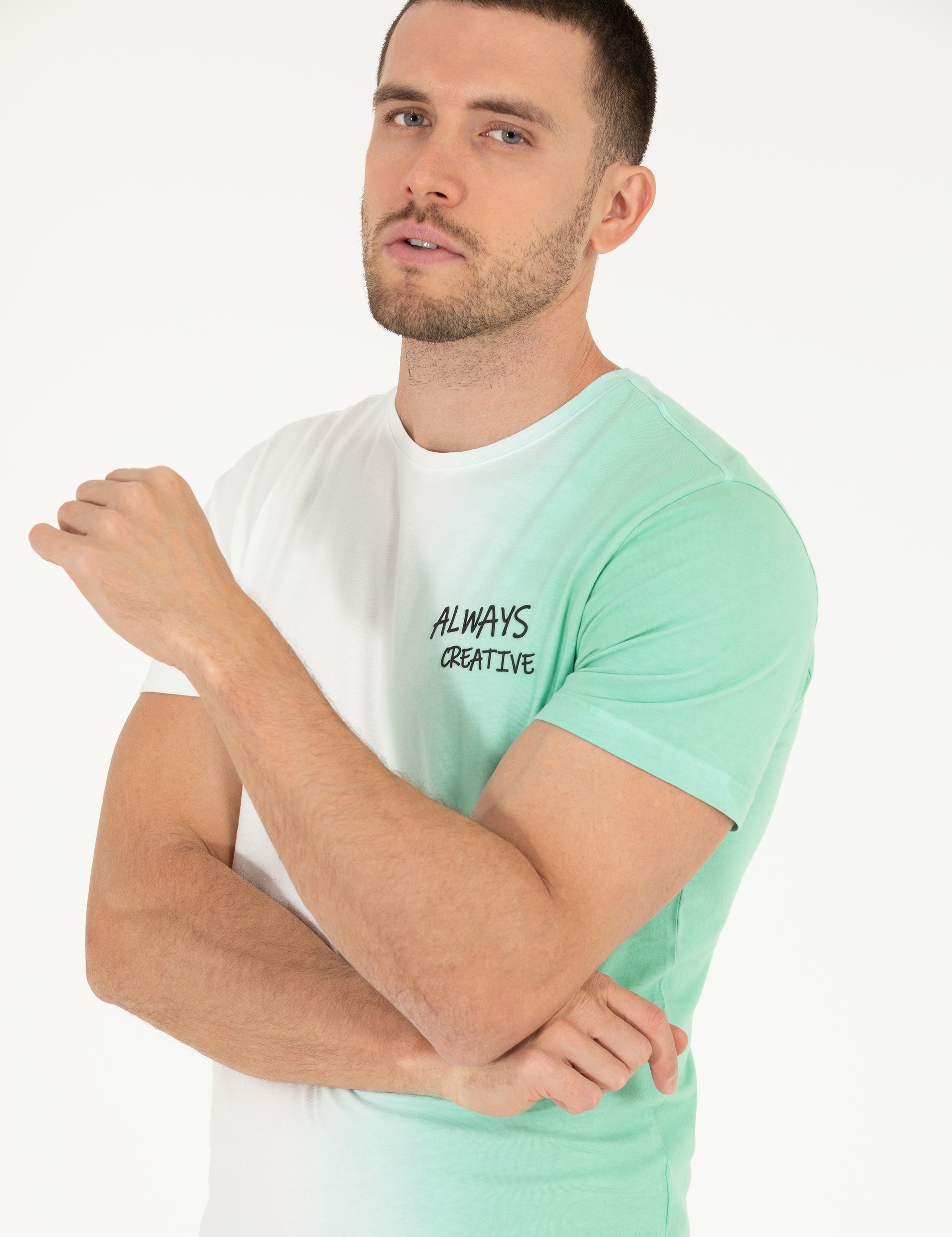 Açık Yeşil Slim Fit %100 Pamuk Degrade Geçişli Bisiklet Yaka Tişört - Image 2