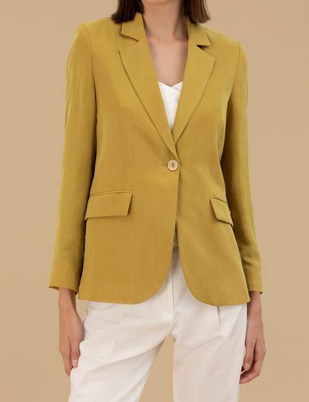 Yeşil Kupro Regular Fit Ceket - 50262598037