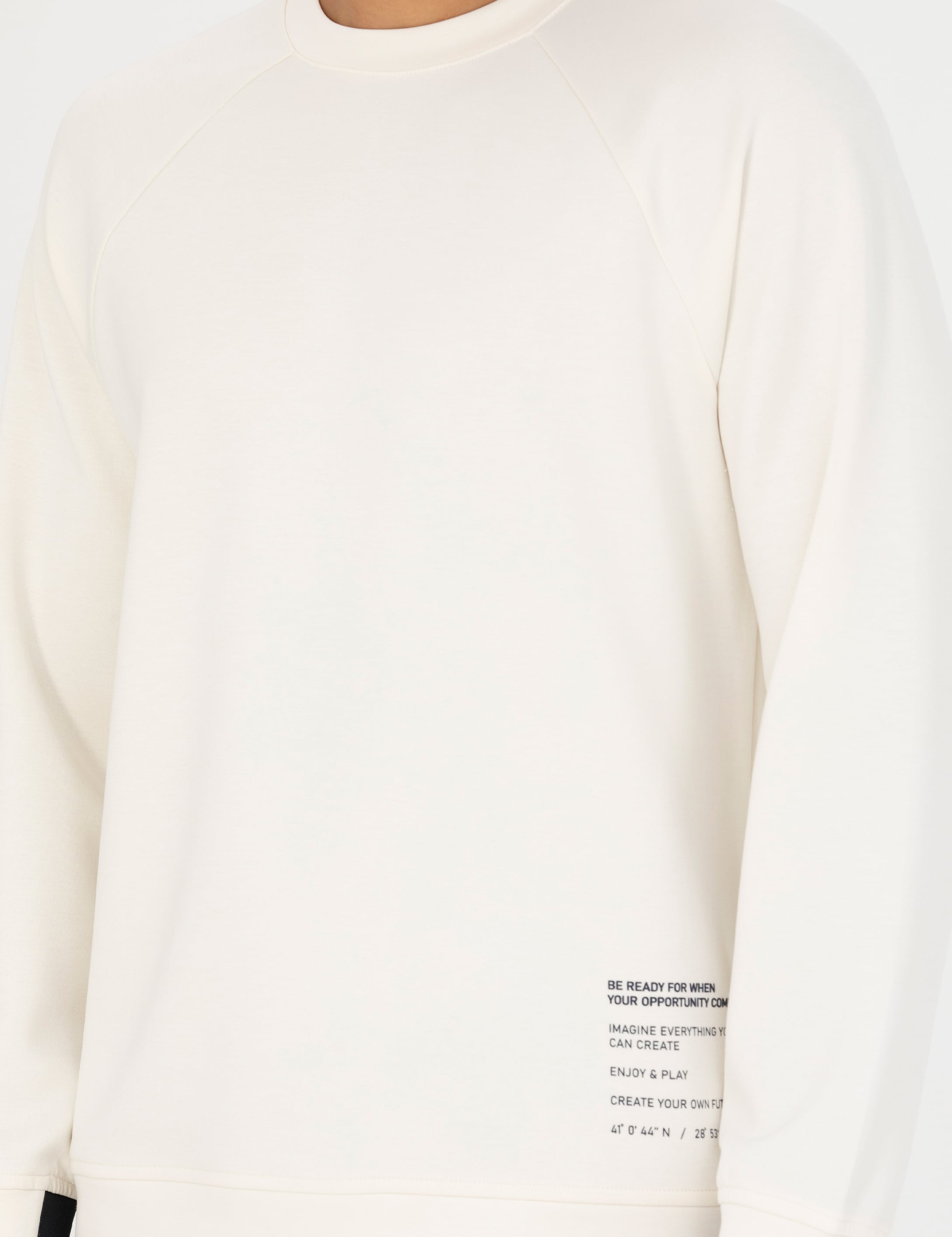 Pierre Cardin Ekru Regular Fit Sweatshirt görsel 6