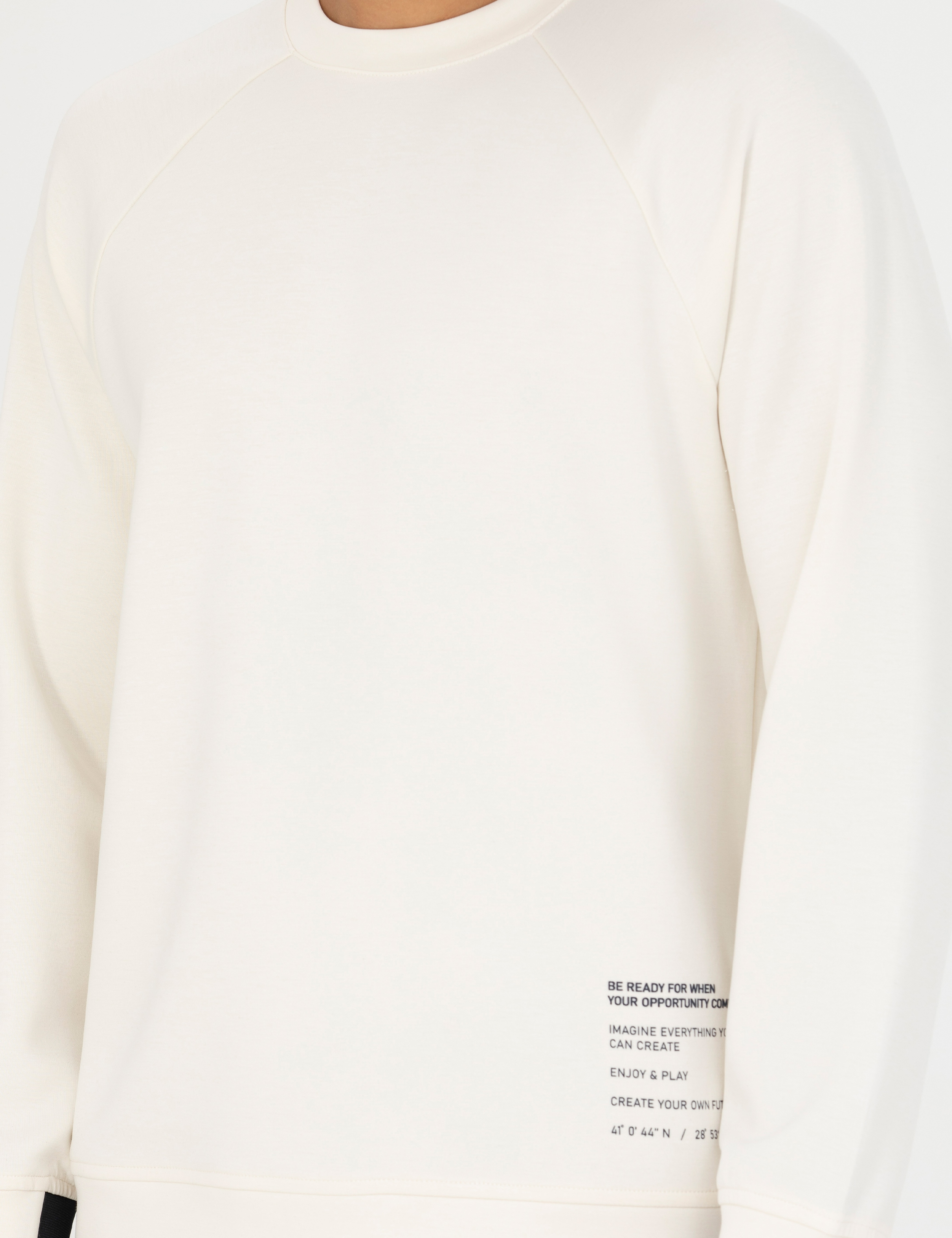 Ekru Regular Fit Sweatshirt