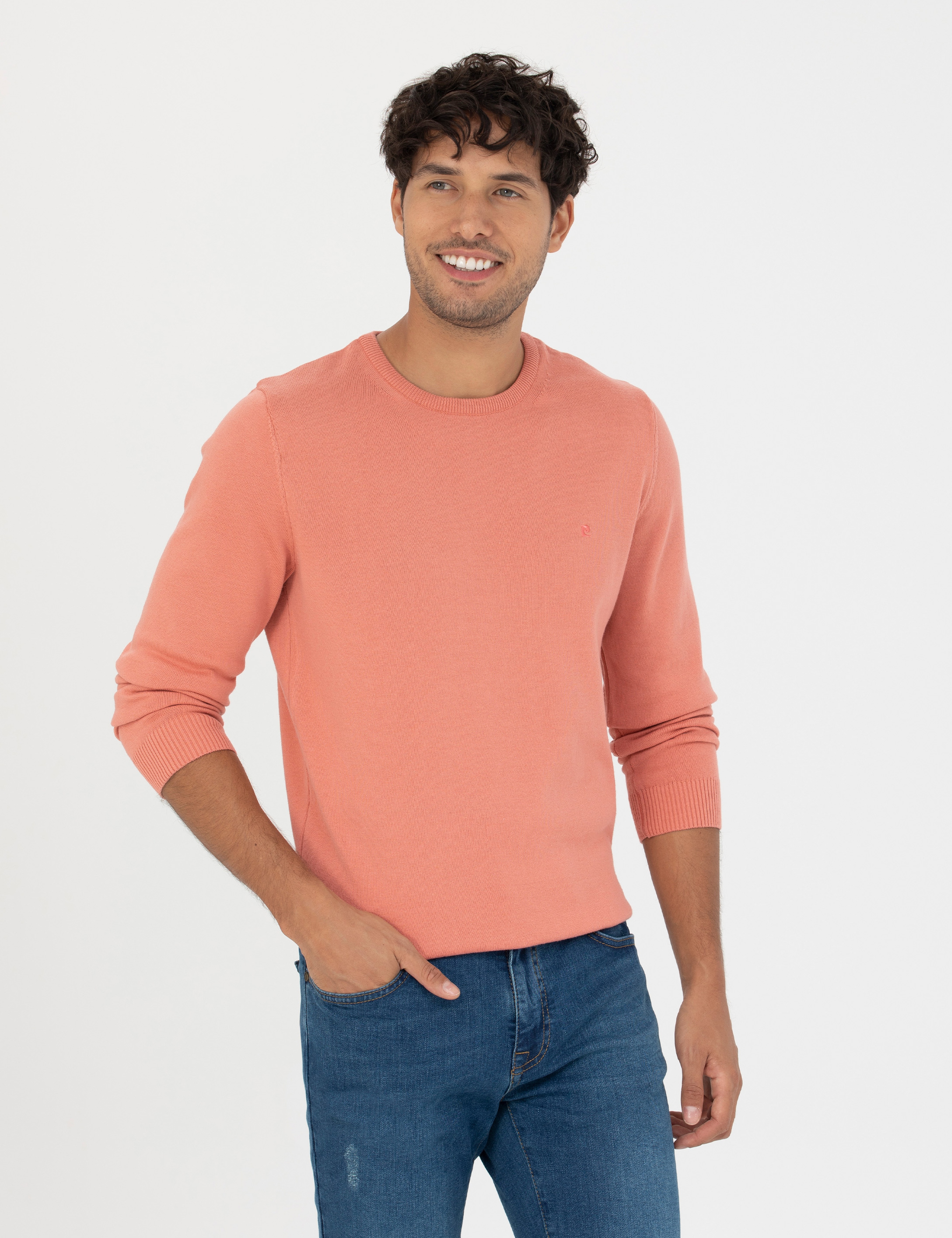 Somon Slim Fit Bisiklet Yaka Basic Triko Kazak - Image 3