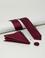 Bordo 3'lü Kravat Mendil Set