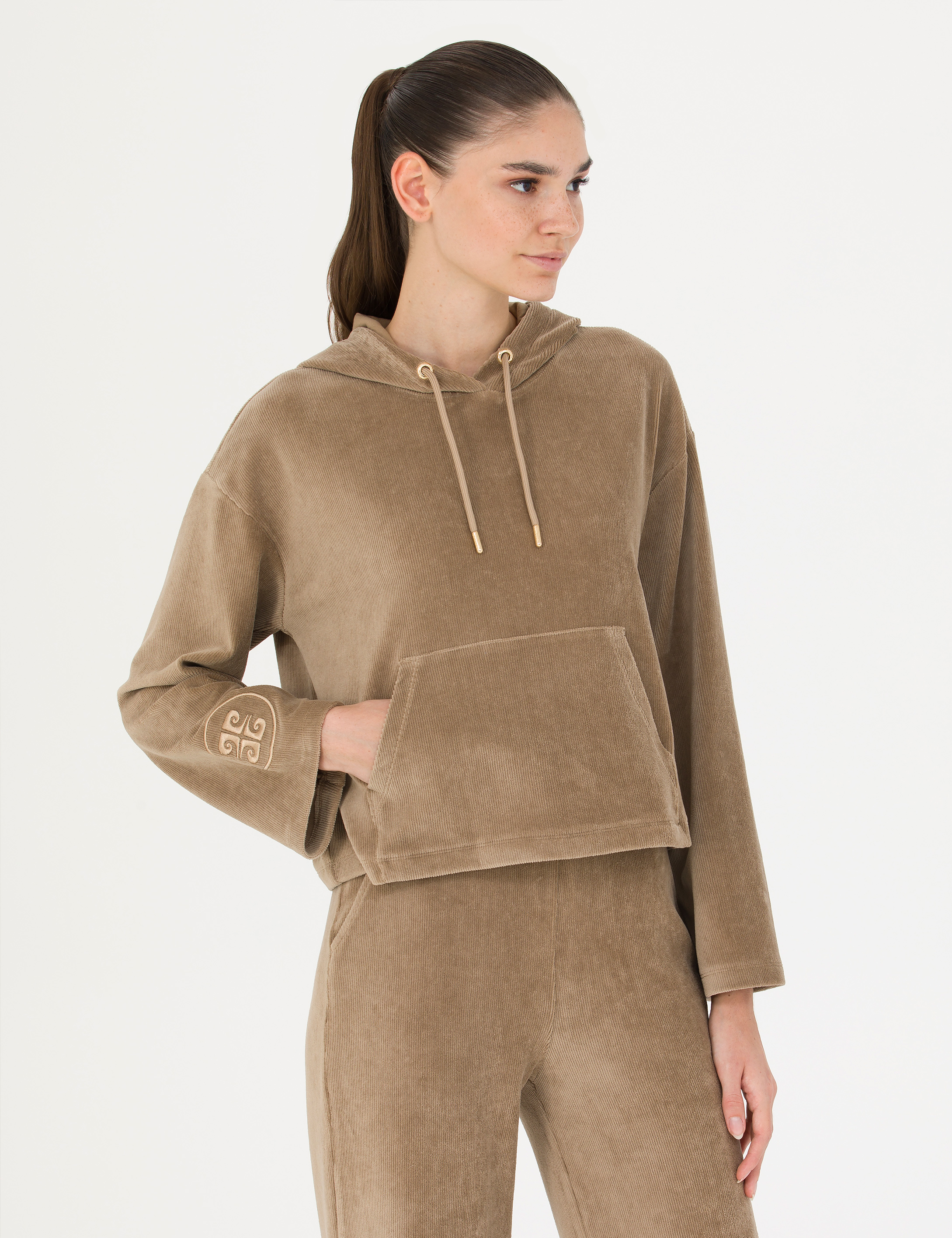 Pierre Cardin Camel Kapüşonlu Sweatshirt görsel 3