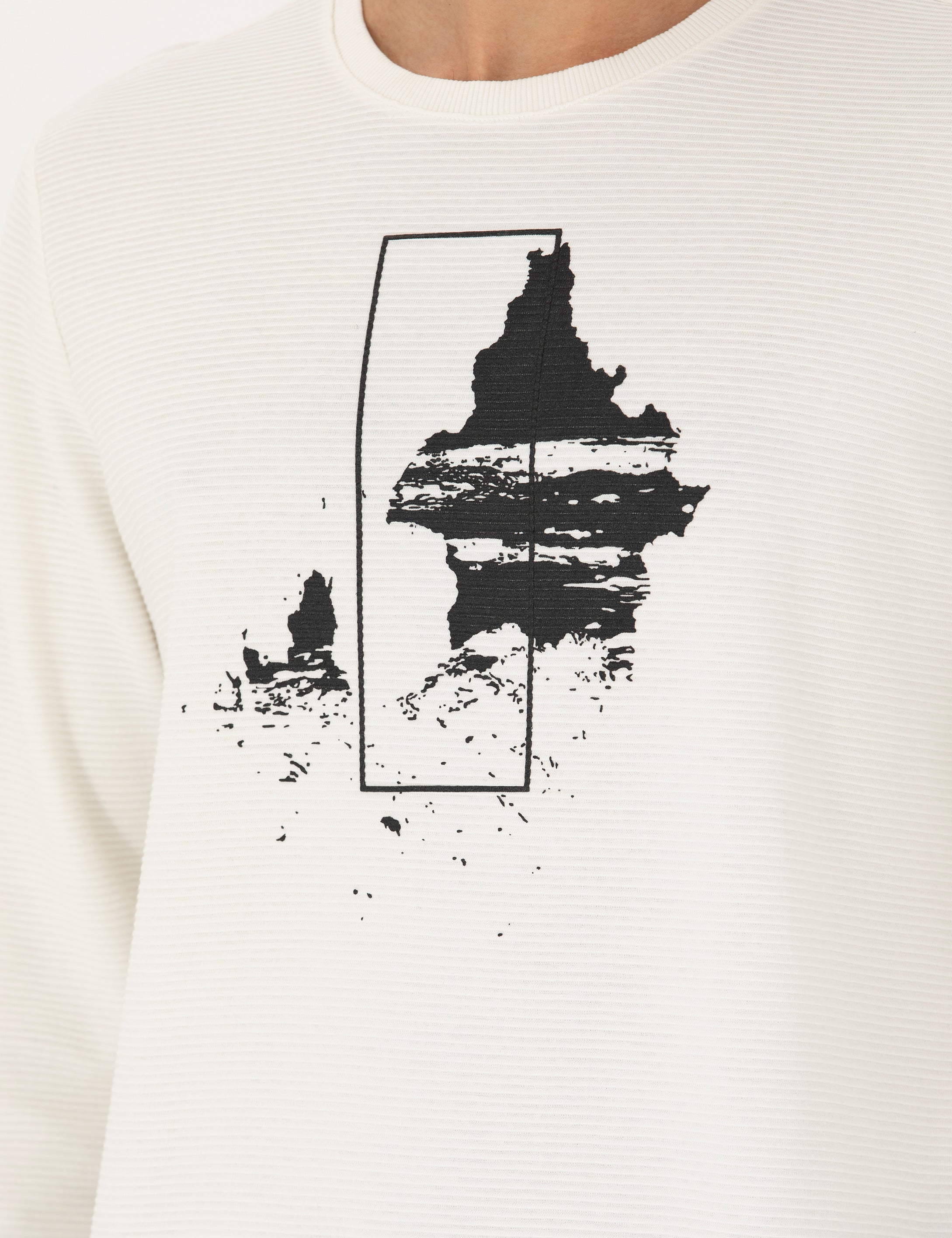 Pierre Cardin Ekru Regular Fit %100 Pamuk Bisiklet Yaka Sweatshirt görsel 7