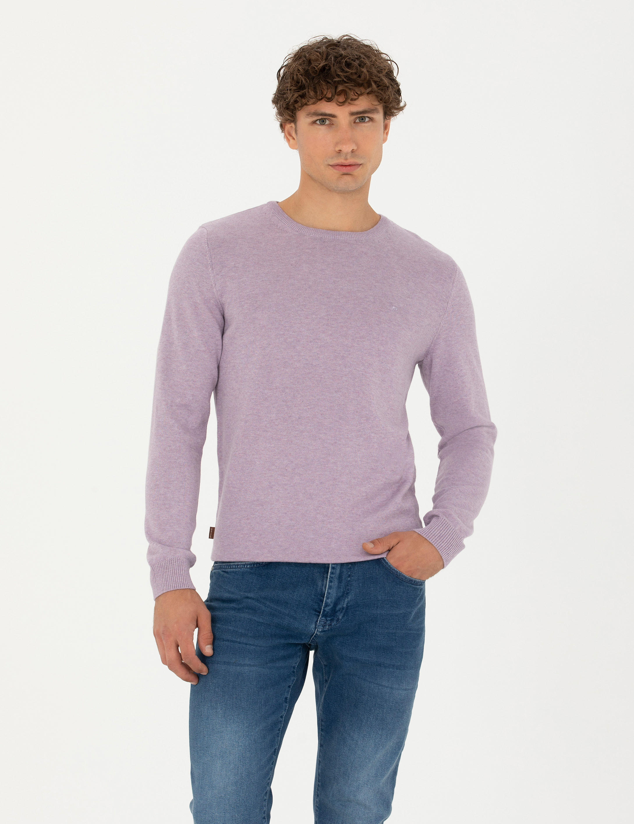 Pierre Cardin Lila Melanj Slim Fit Bisiklet Yaka Basic Triko Kazak görsel 3