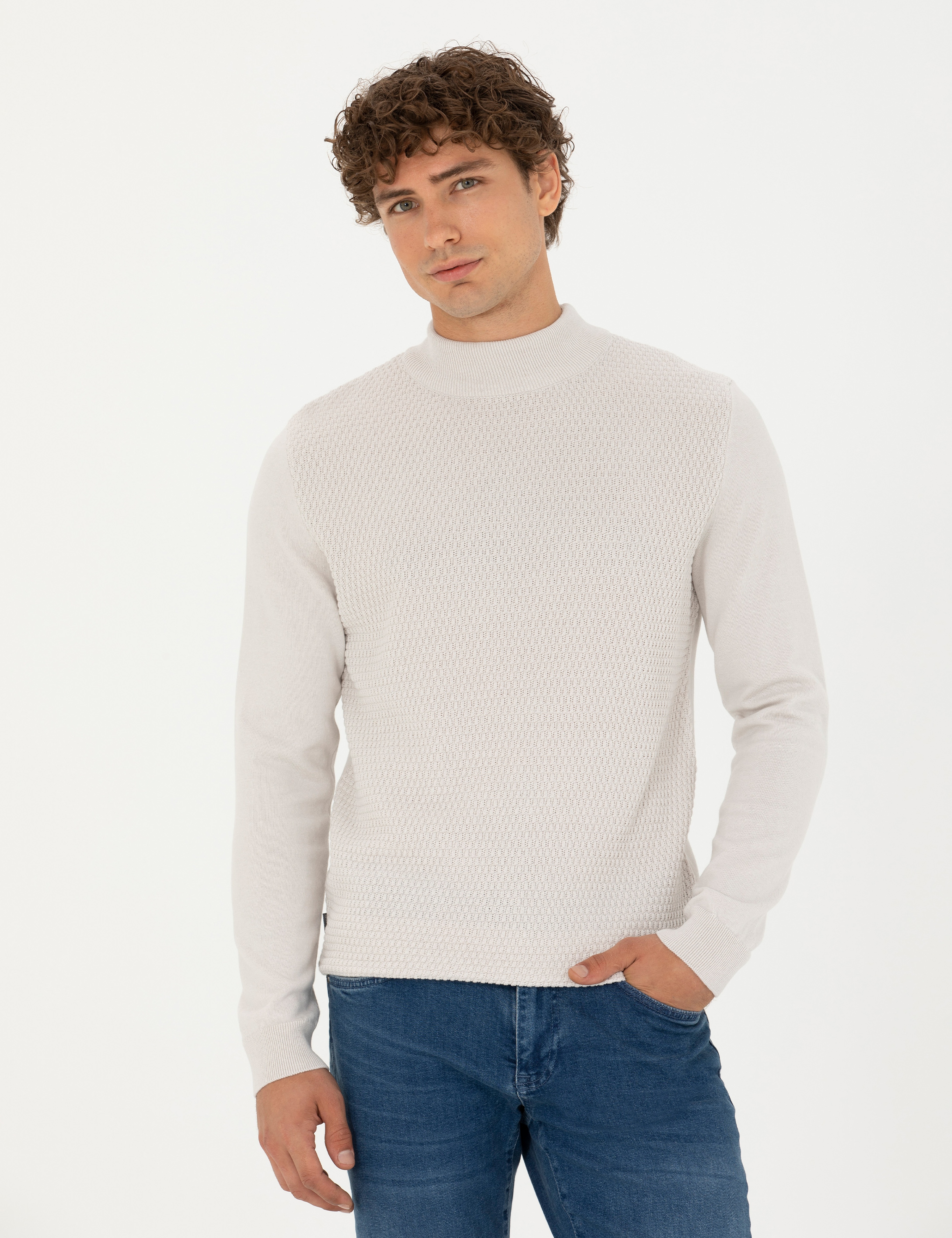 Taş Slim Fit Yarım Balıkçı Yaka Triko Kazak - Image 1