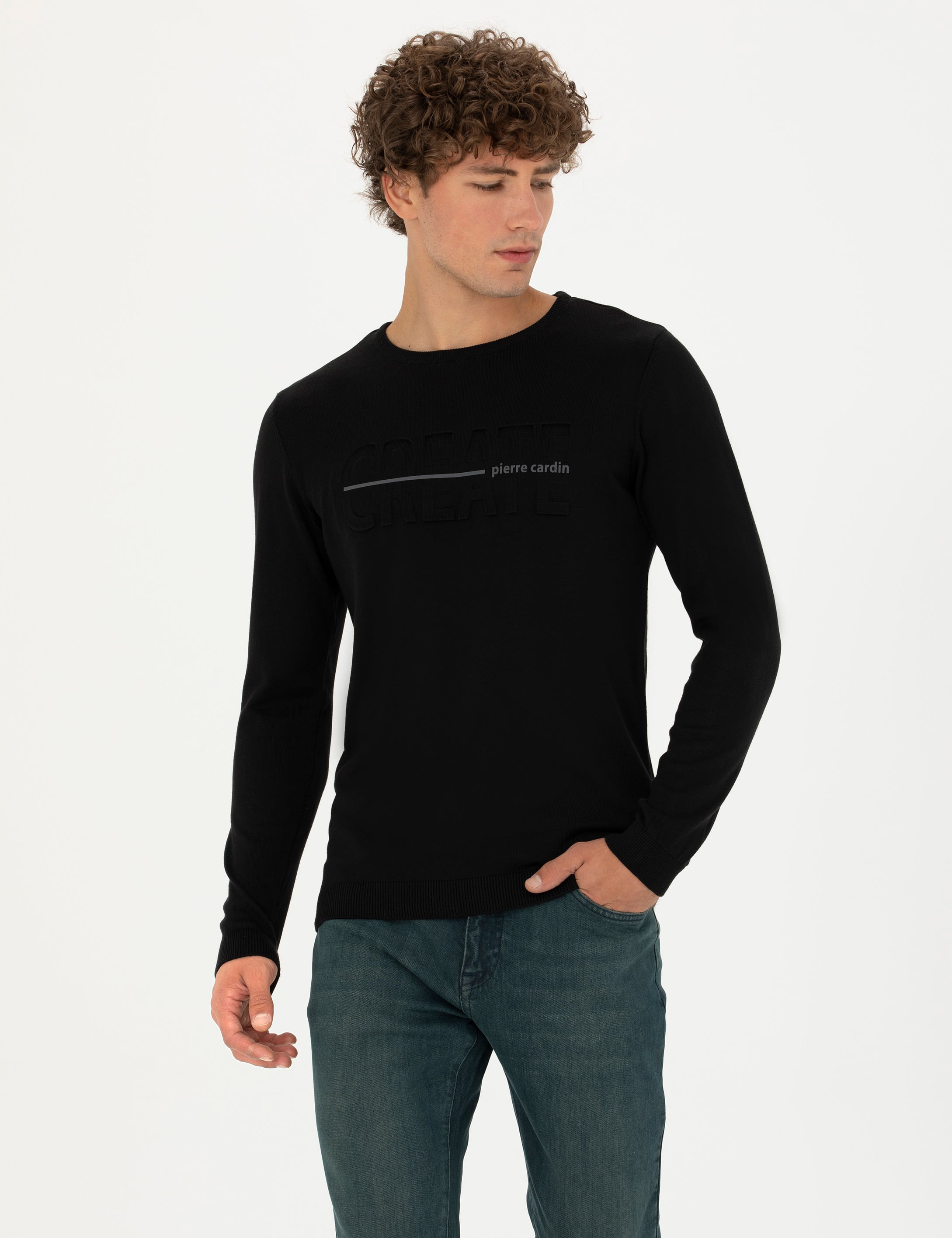 Siyah Slim Fit Bisiklet Yaka Triko Kazak - Image 1