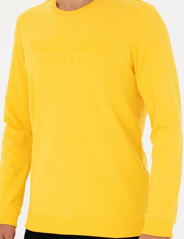 Sarı Regular Fit Sweatshirt