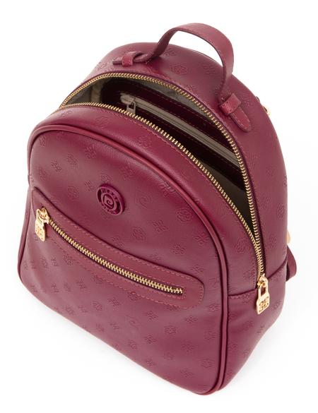 Kırmızı Sırt Çantası - 50290084003