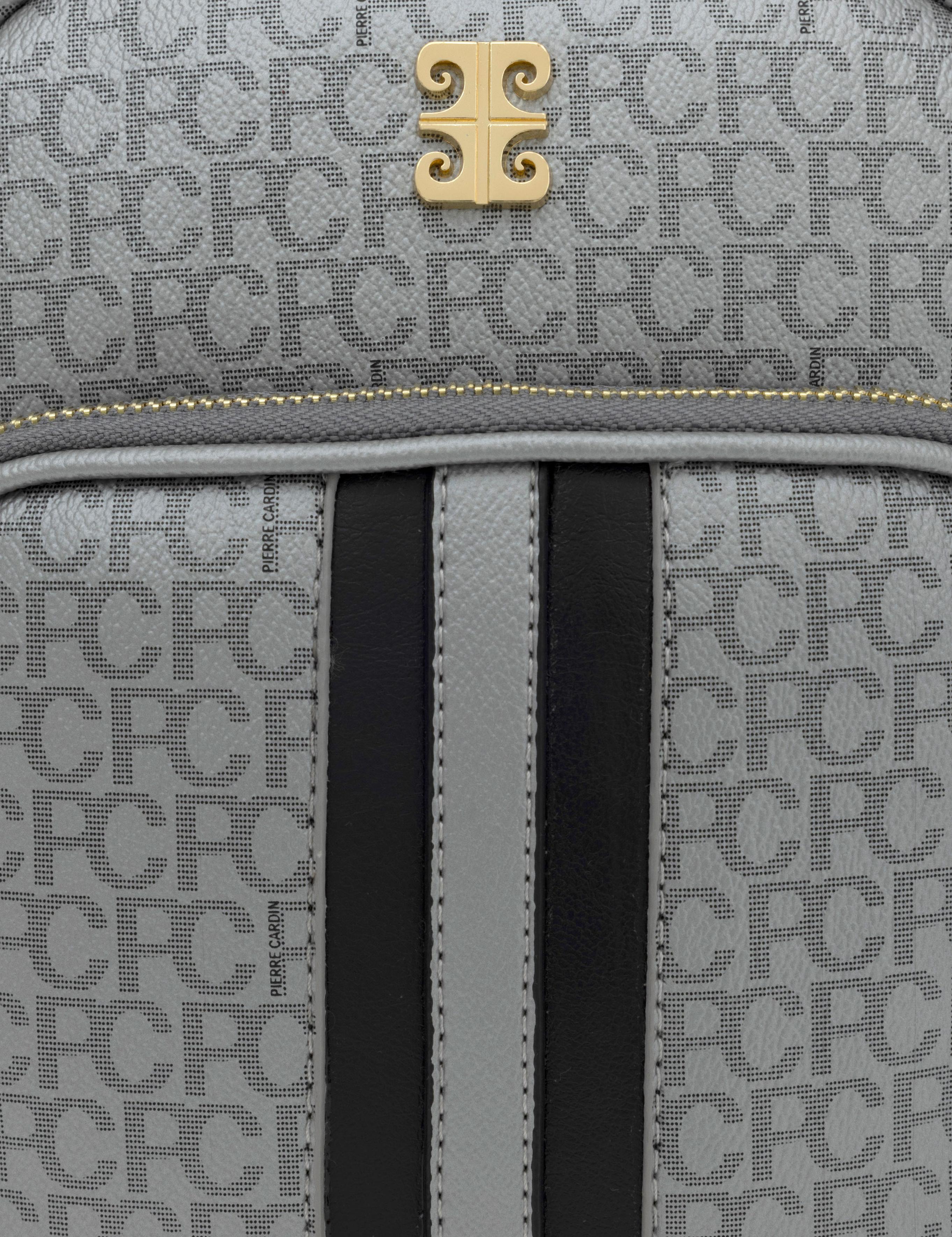 Gümüş Sırt Çantası