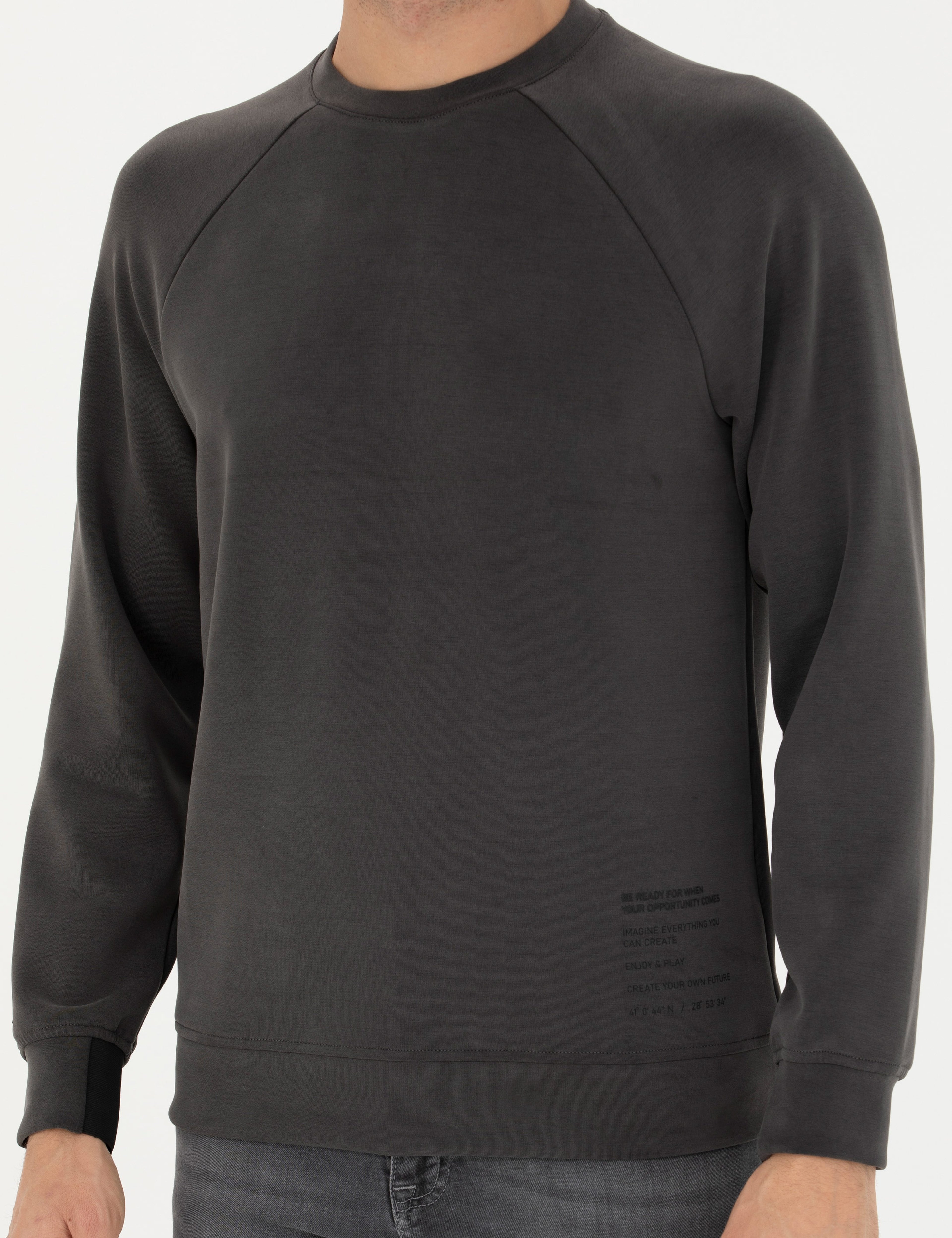 Gri Melanj Regular Fit Sweatshirt - Image 6
