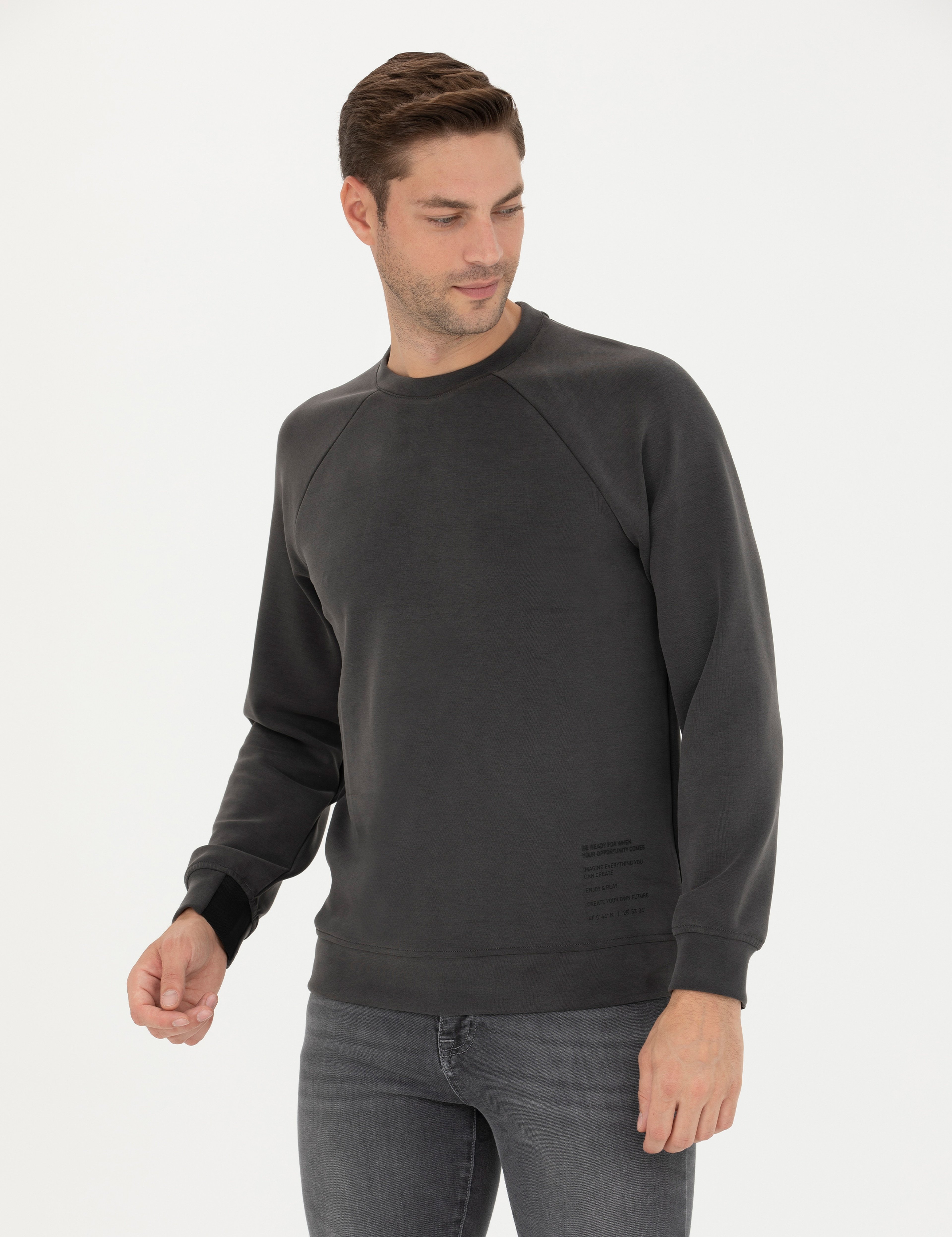 Gri Melanj Regular Fit Sweatshirt - Image 3