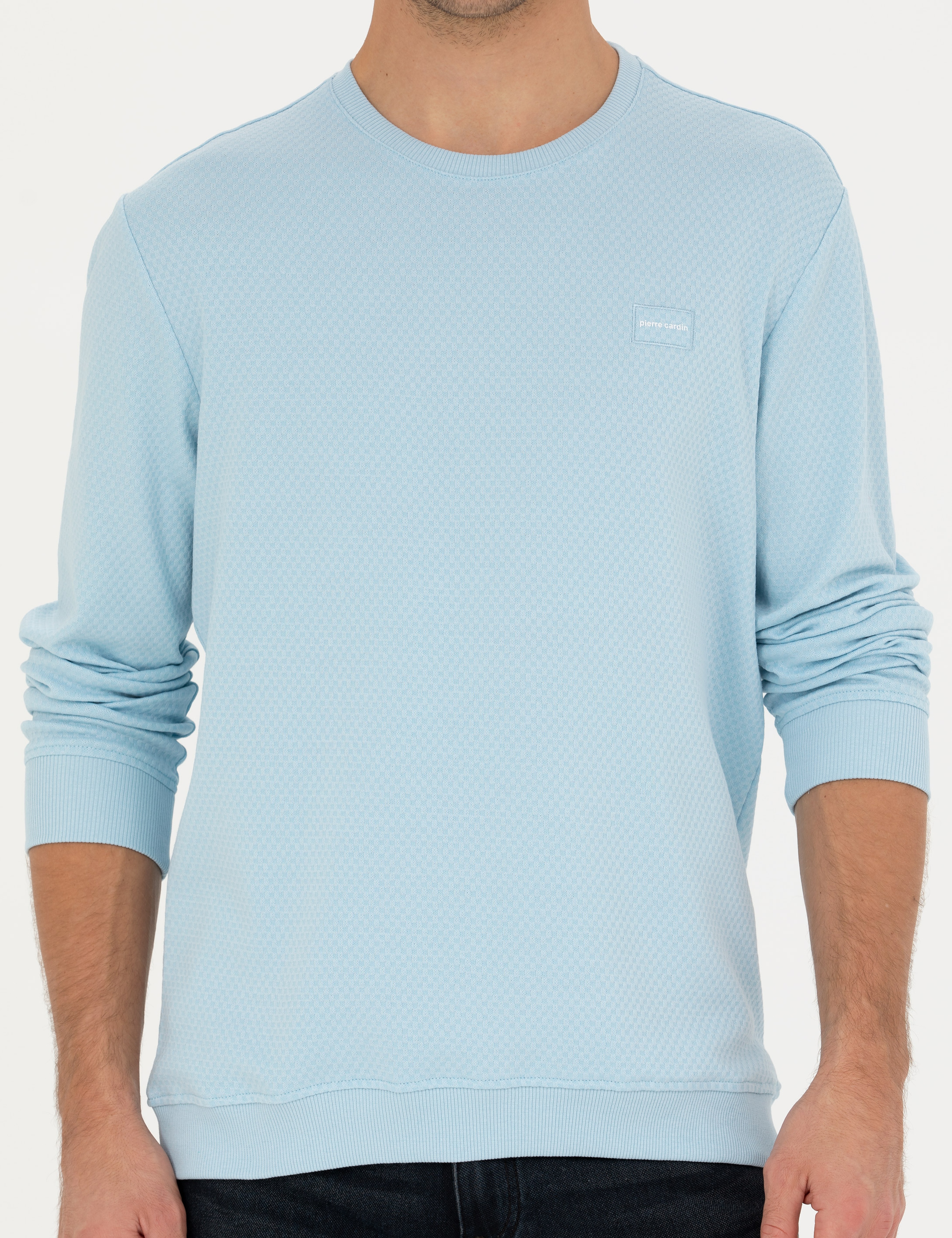 Açık Mavi  Regular Fit Bisiklet Yaka Sweatshirt - Image 6