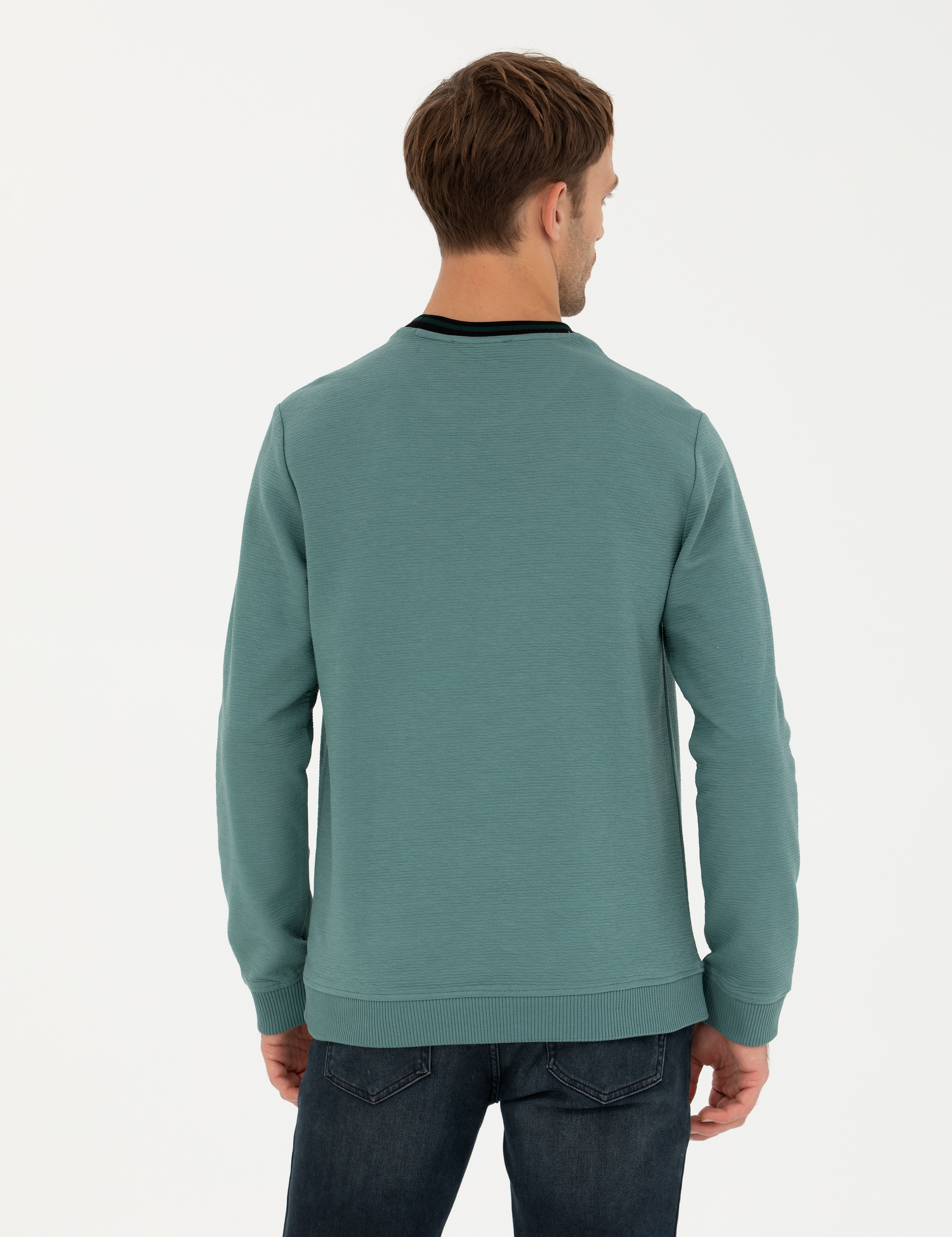 Yeşil Regular Fit Bisiklet Yaka Sweatshirt - Image 5