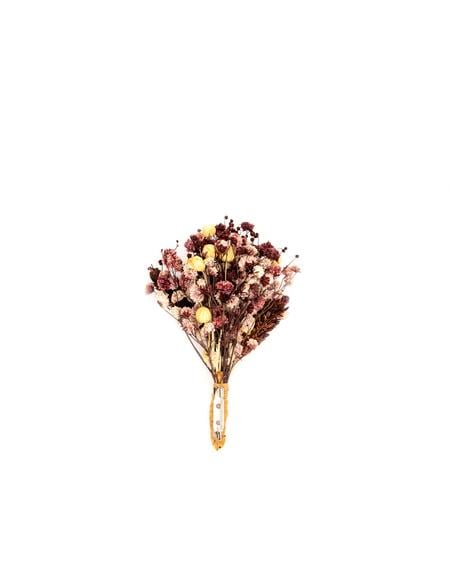 Mor Yaka Çiçeği - 50291918002