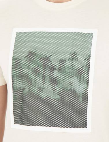 Ekru Slim Fit %100 Pamuk Bisiklet Yaka Tişört