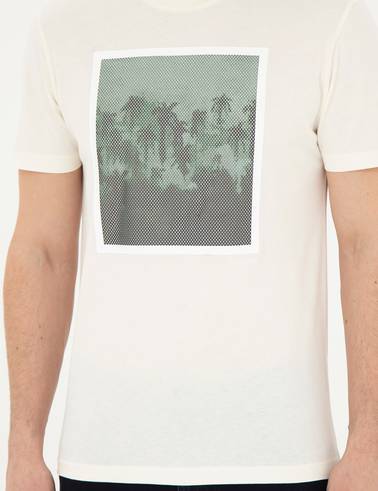 Ekru Slim Fit %100 Pamuk Bisiklet Yaka Tişört