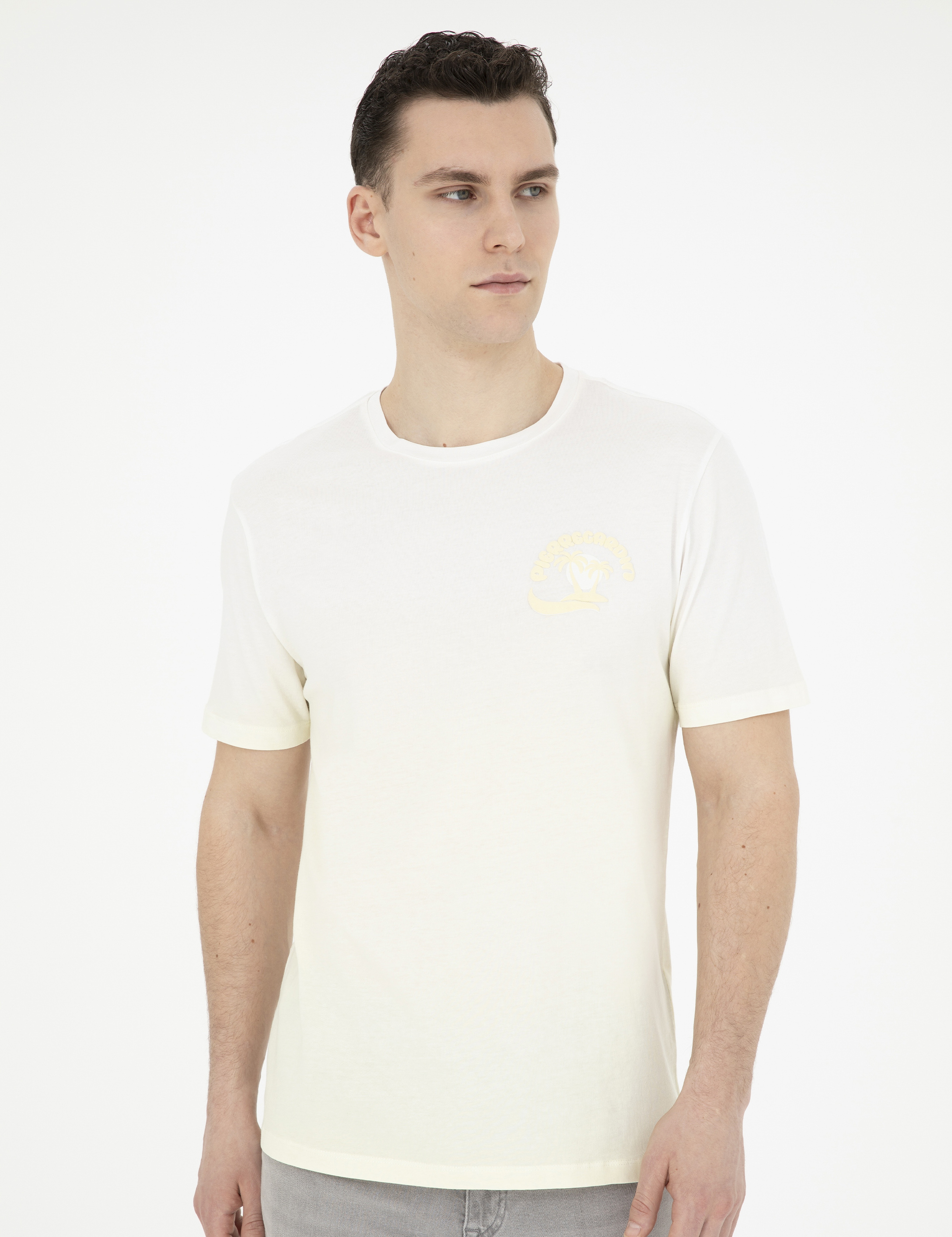 Limon Regular Fit Tişört - Image 3