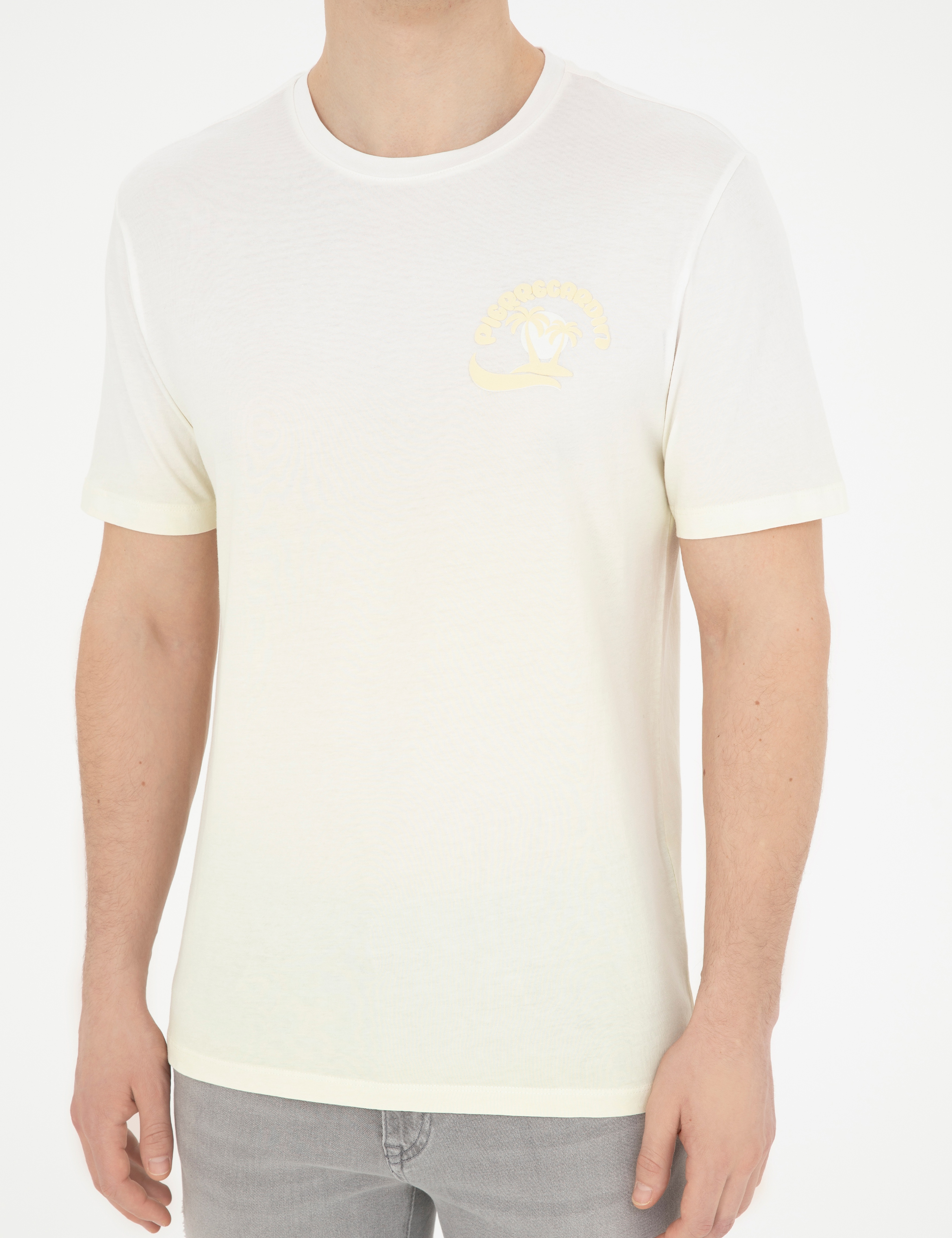 Limon Regular Fit Tişört - Image 6