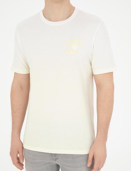 Limon Regular Fit Tişört - 50281117038