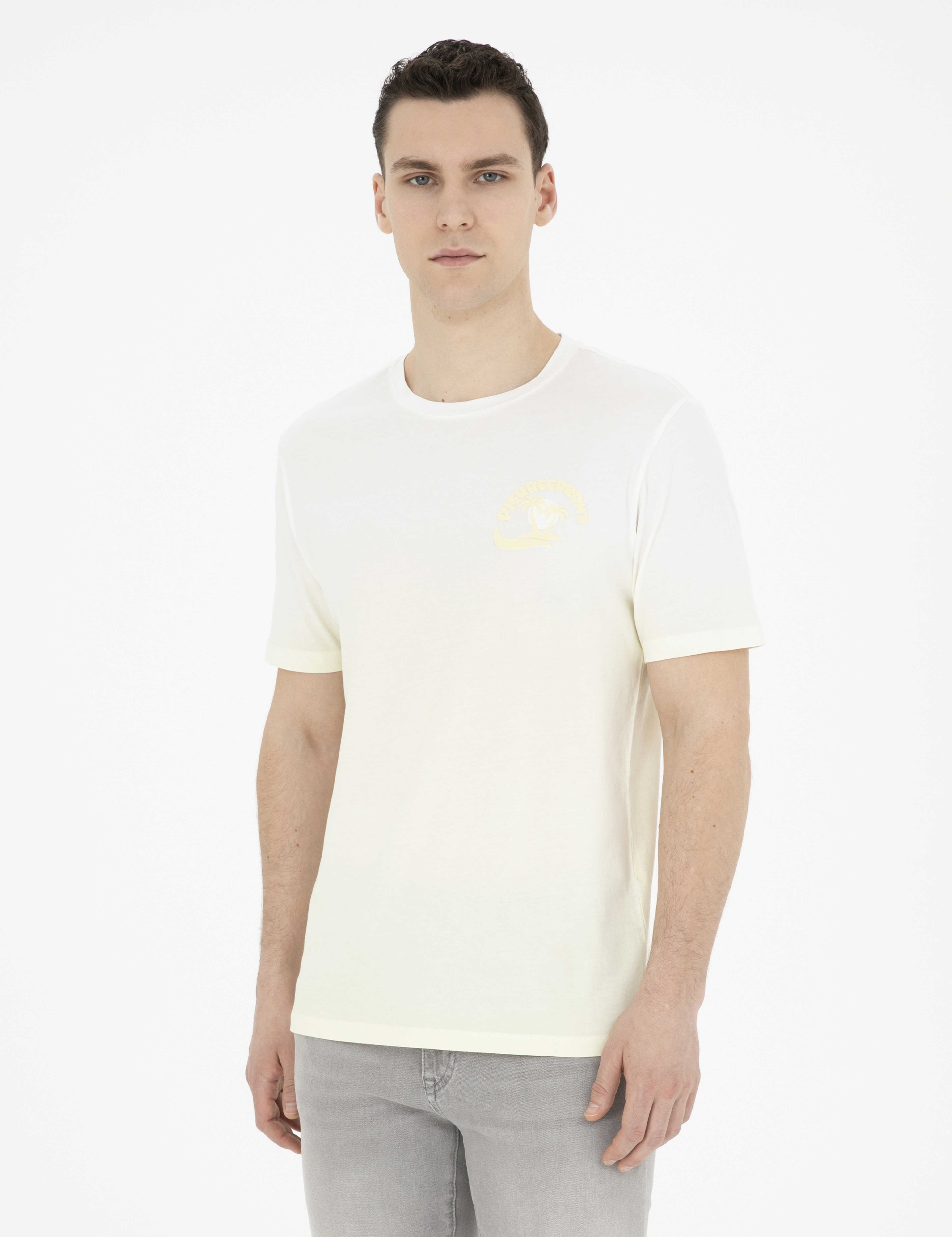 Limon Regular Fit Tişört - Image 1
