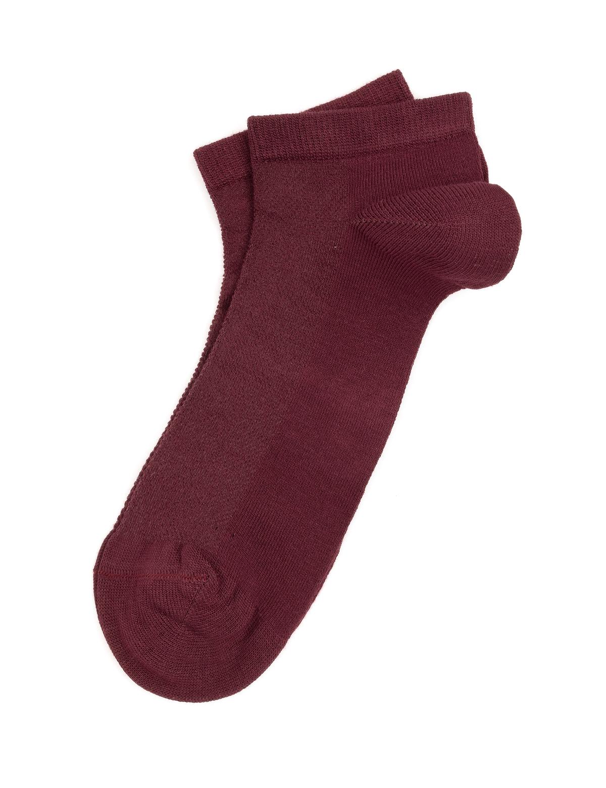 Erkek Bambu Karışımlı Bordo Patik Basic Çorap - 50291764006