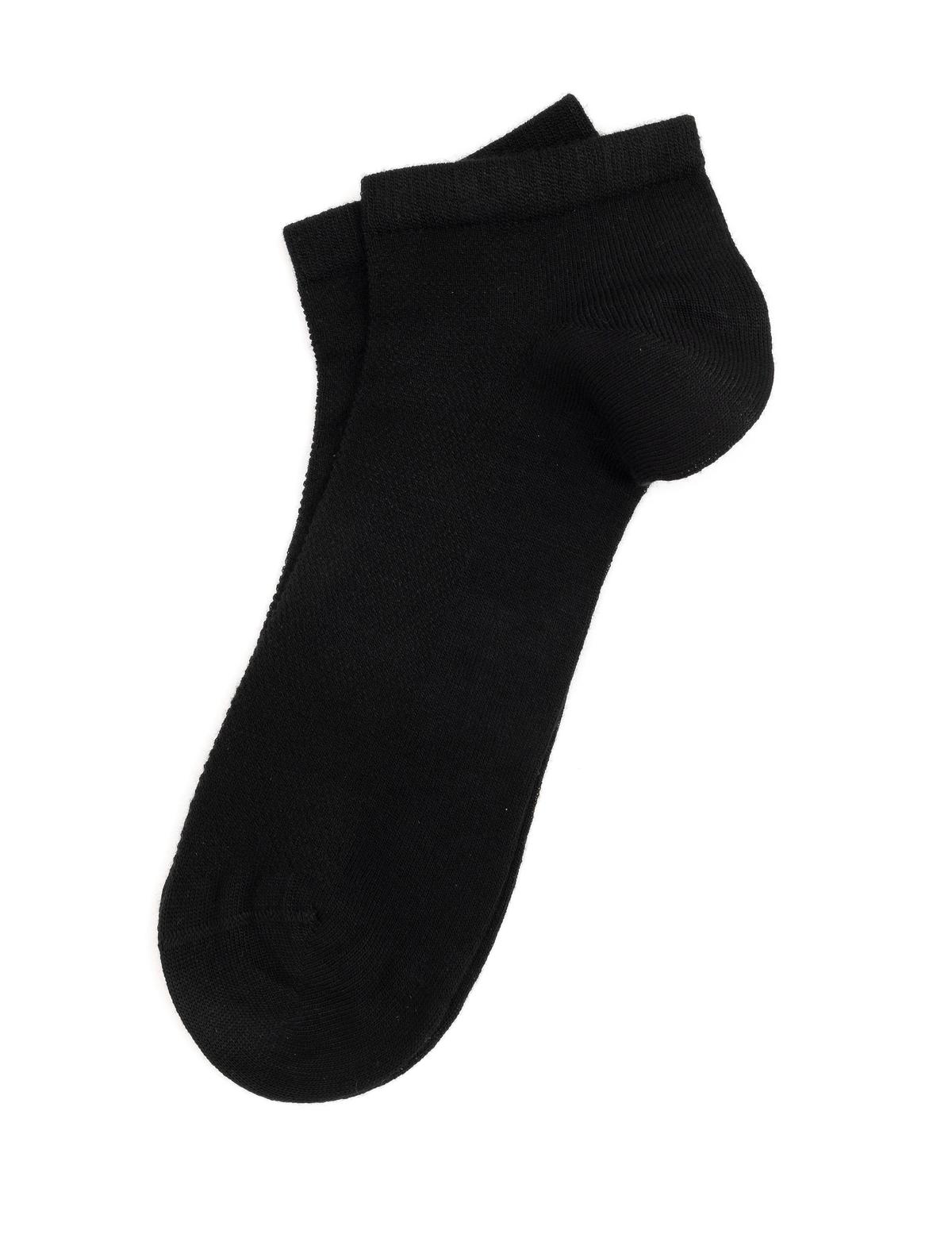 Erkek Siyah Patik Çorap - 50291764001