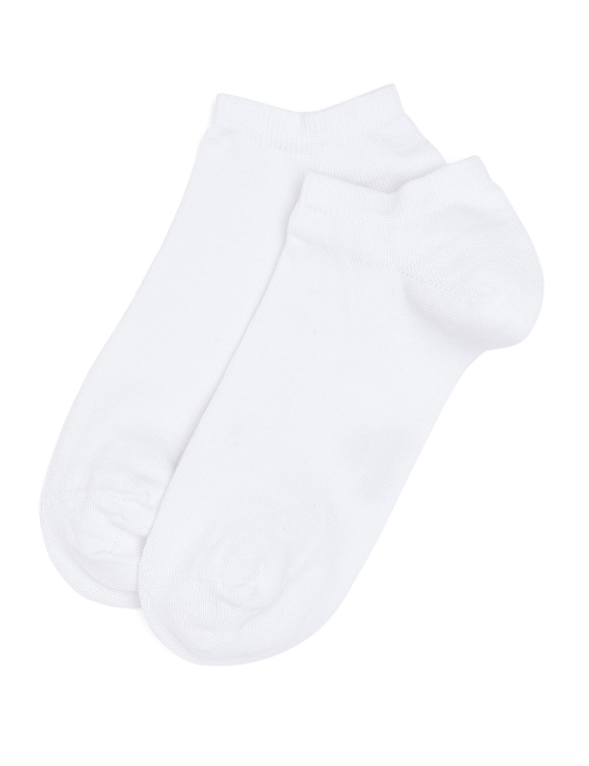 Kadın Ekru 2'li Patik Çorap - 50293332002