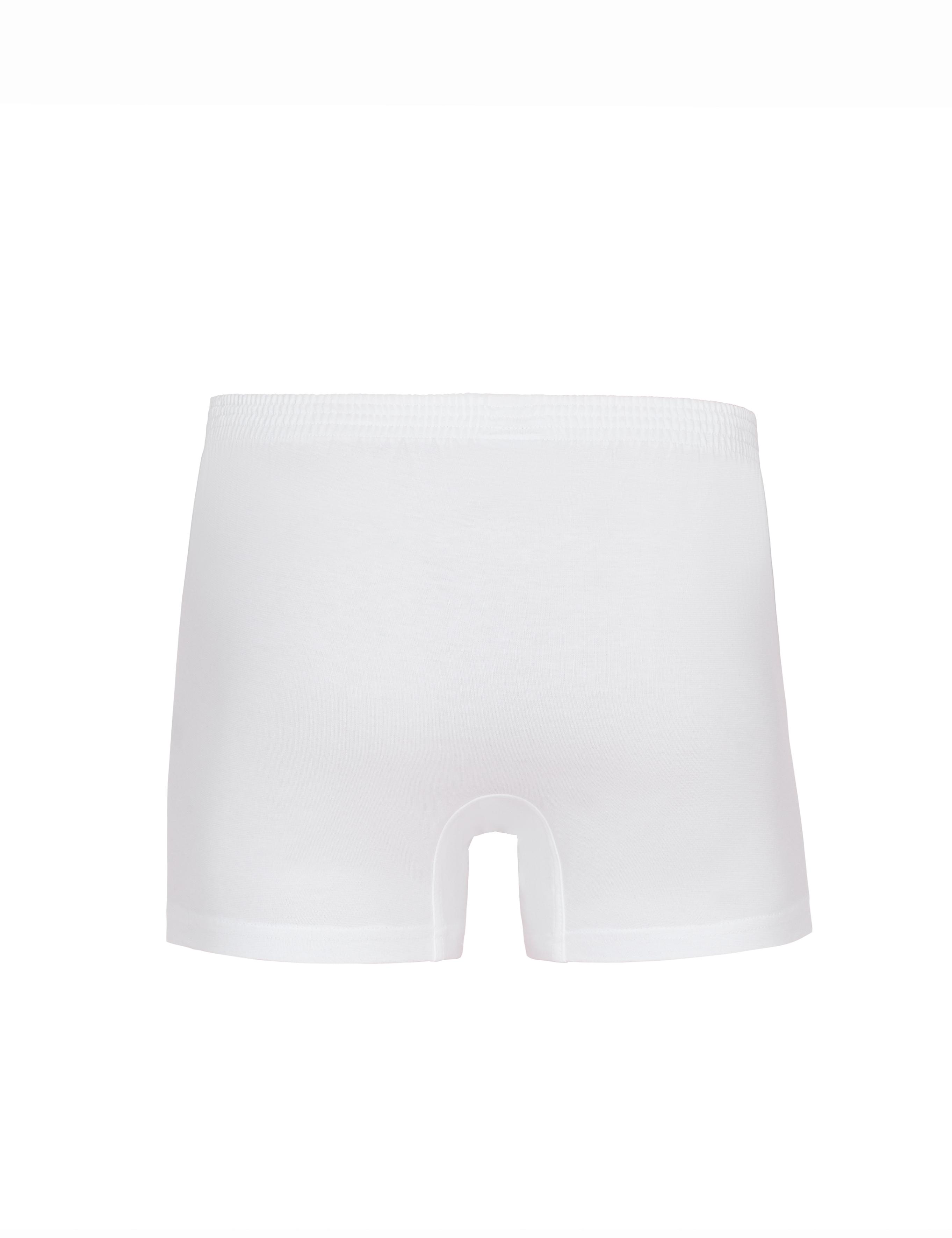 Beyaz 2'li Boxer
