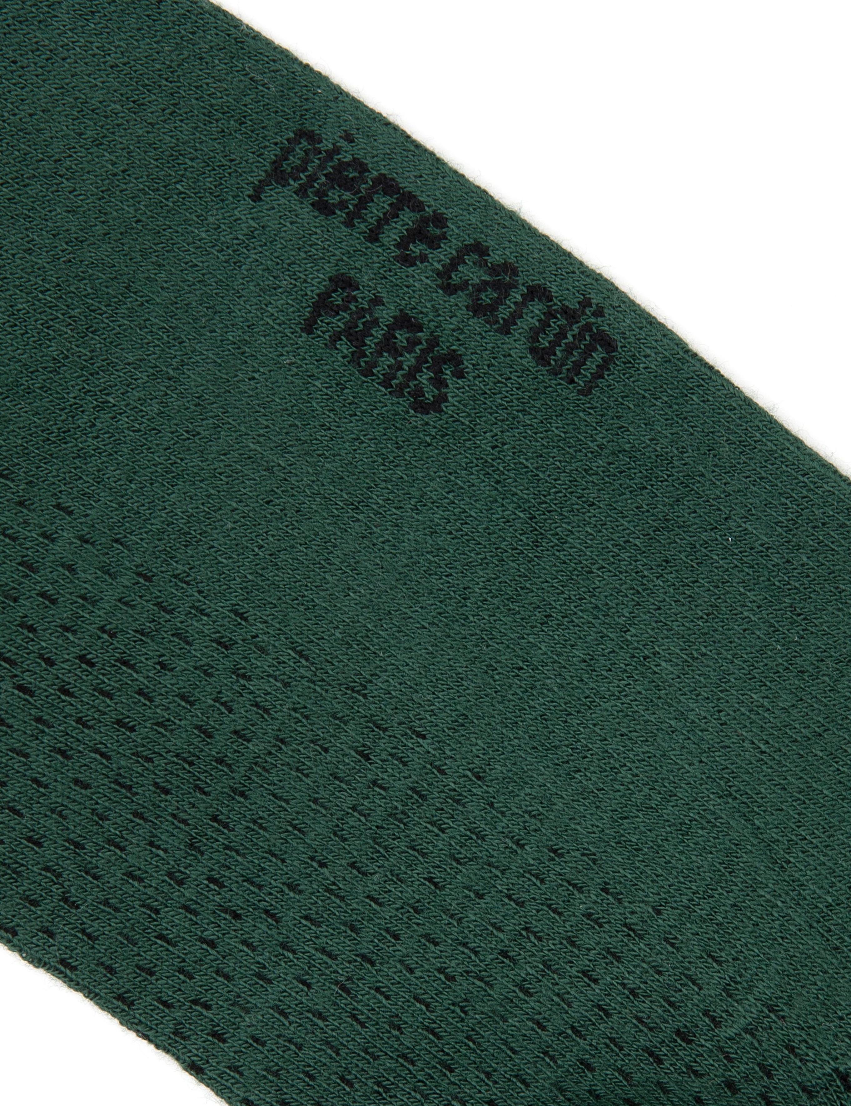 Erkek Bambu Karışımlı Yeşil Patik Desenli Çorap