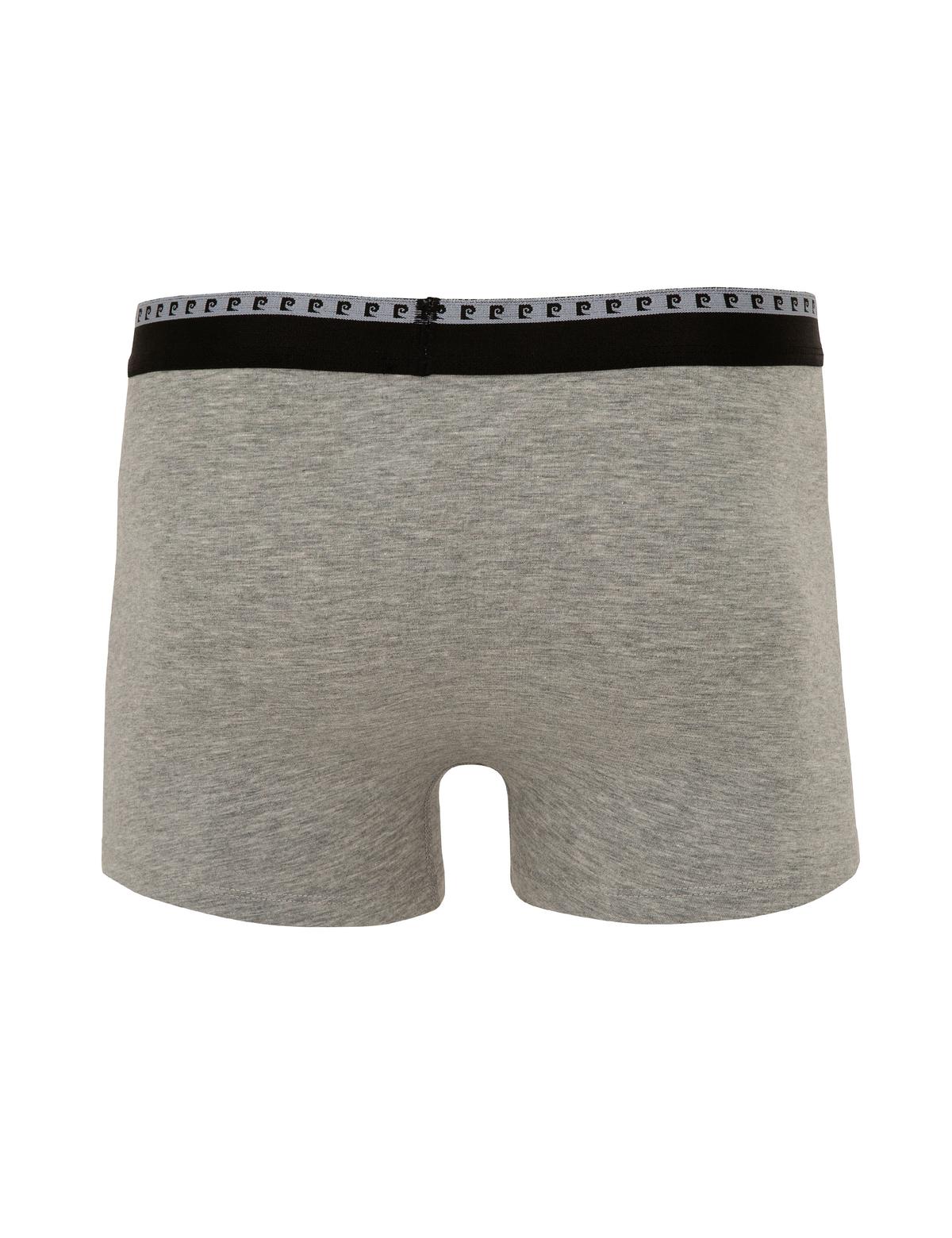 Renkli 2'li Boxer - 50230408004
