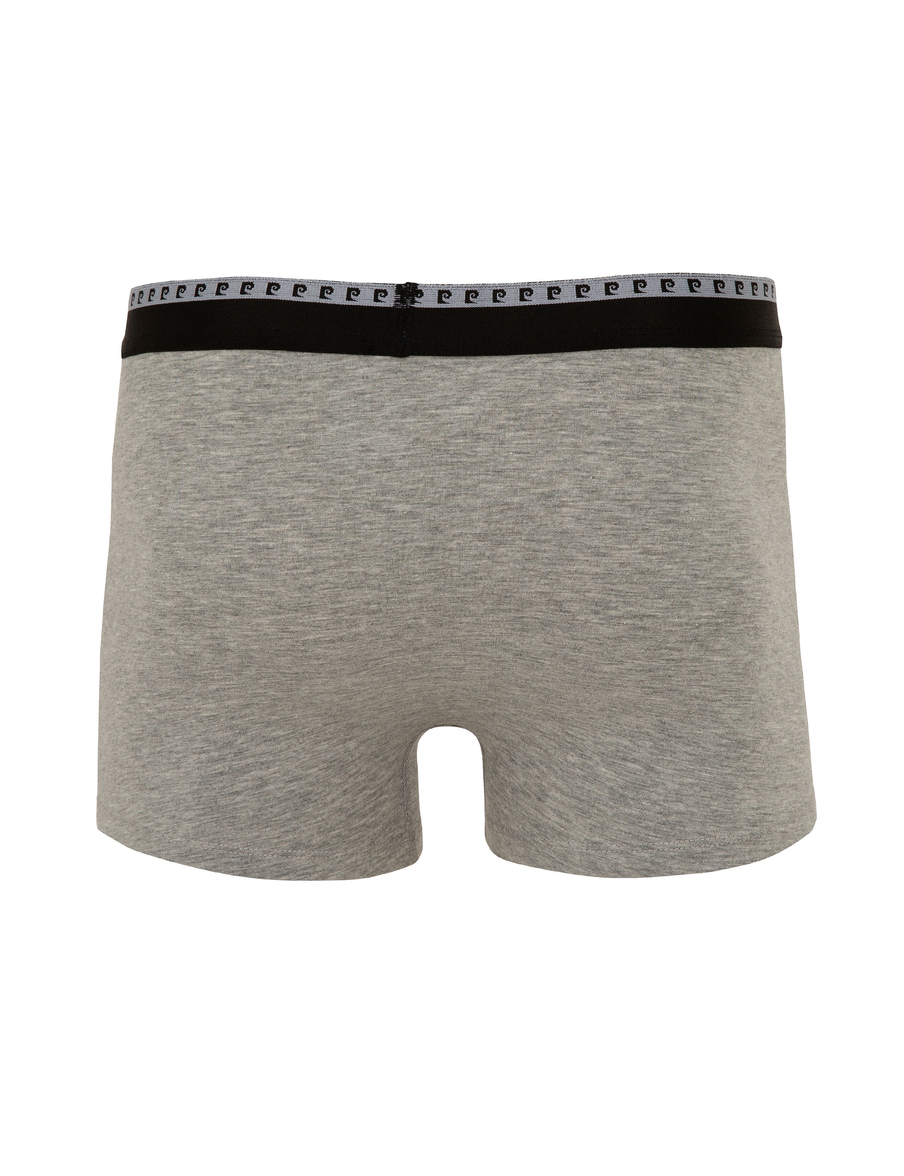 Renkli 2'li Boxer