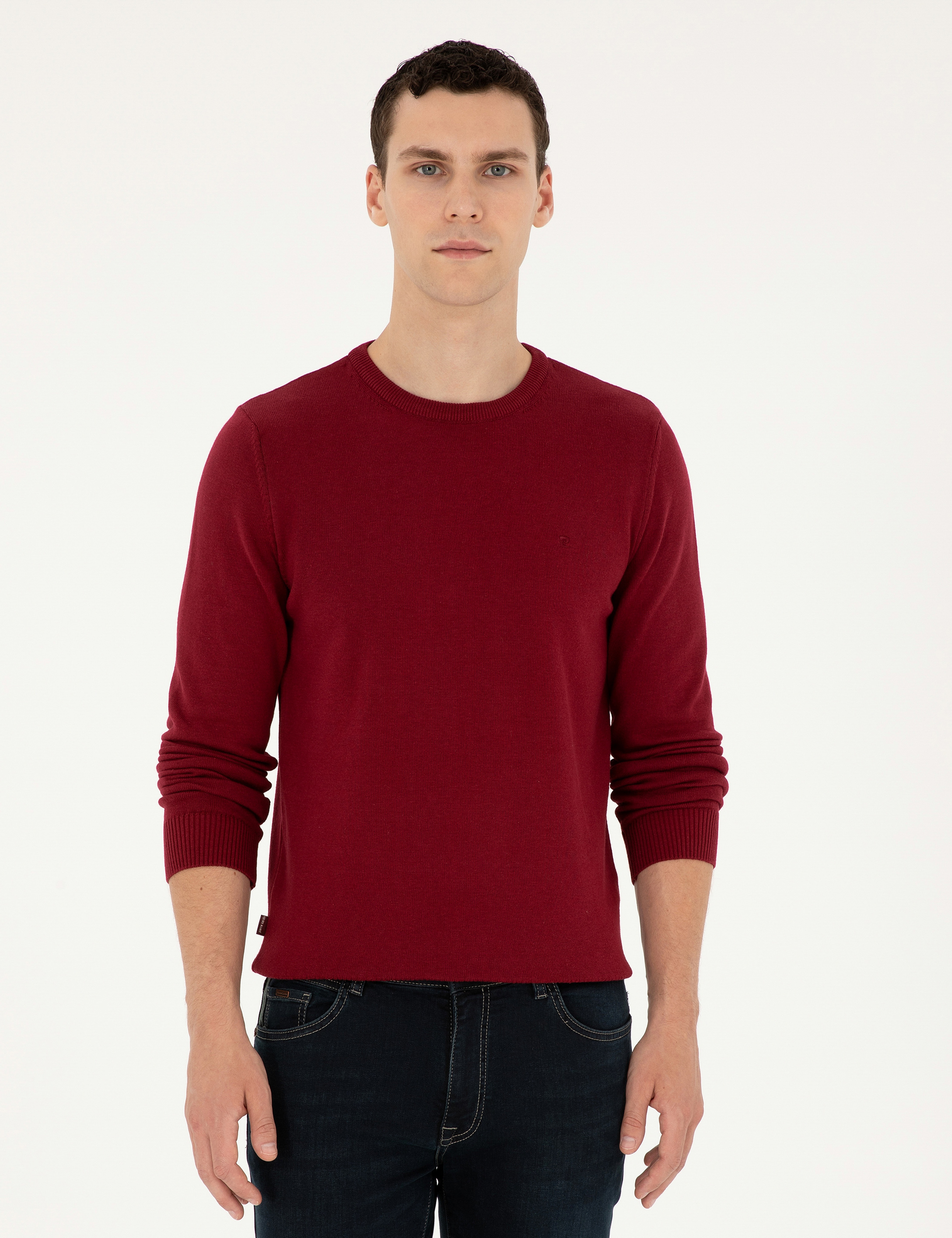 Vişne Slim Fit Bisiklet Yaka Basic Triko Kazak