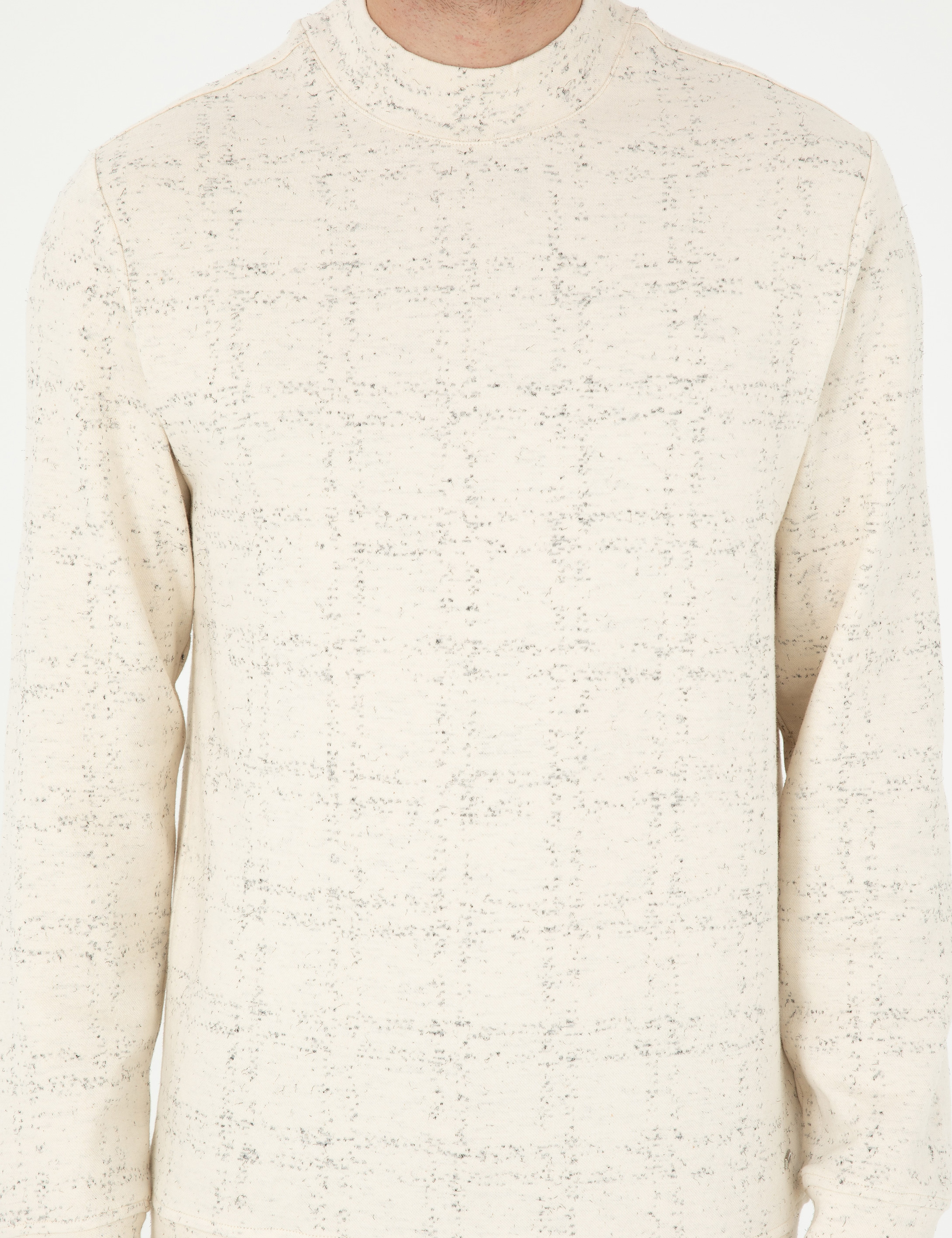 Ekru Regular Fit Sweatshirt - Image 6