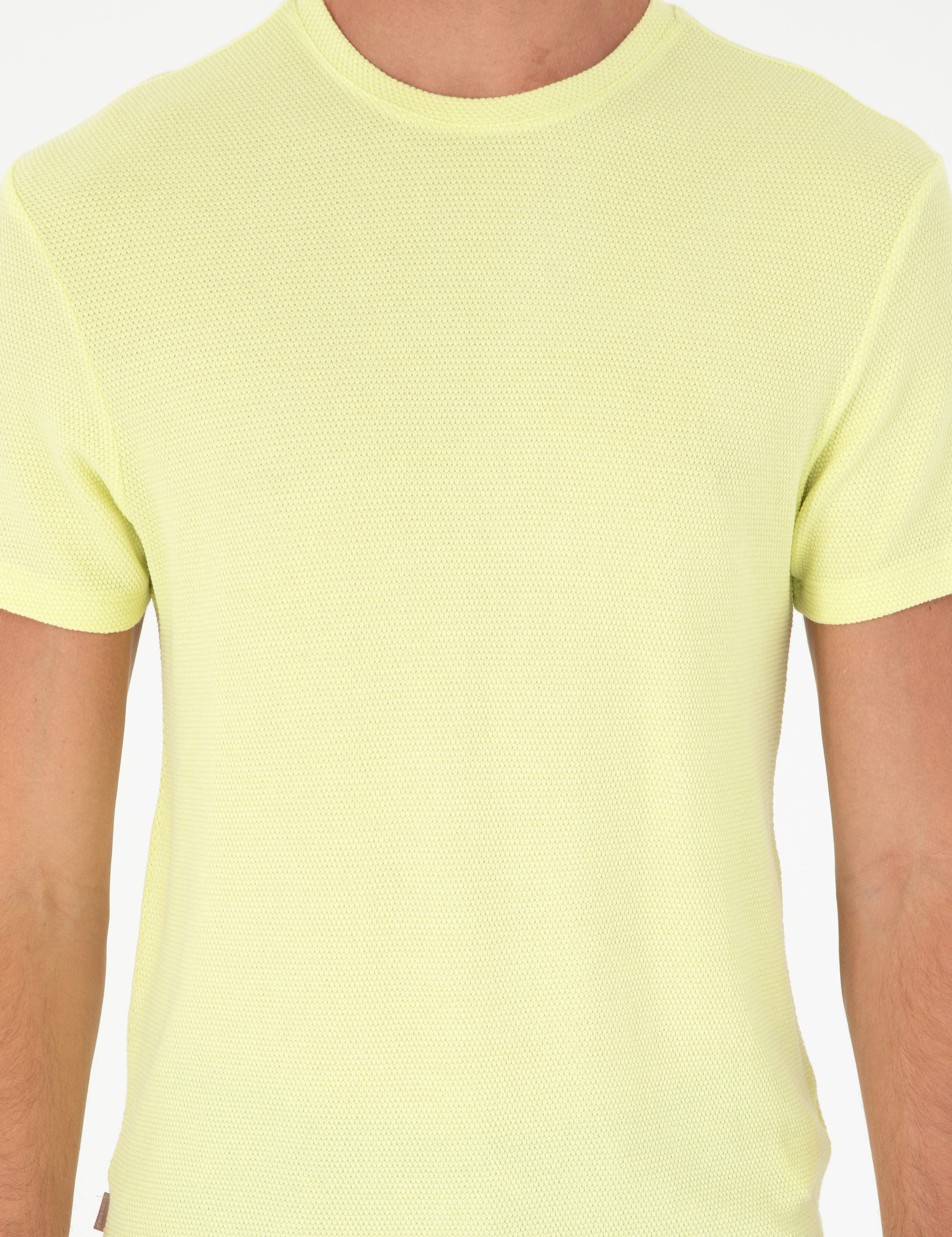 Limon Slim Fit Basic Tişört - Image 6